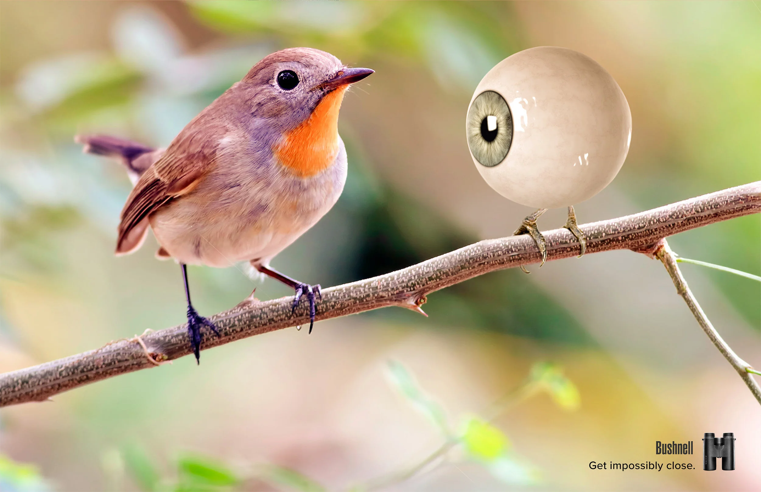 Bushnell Binoculars let you see things much closer than with the naked eye.