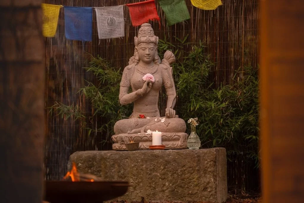 Tara Pijnaker evening.jpg