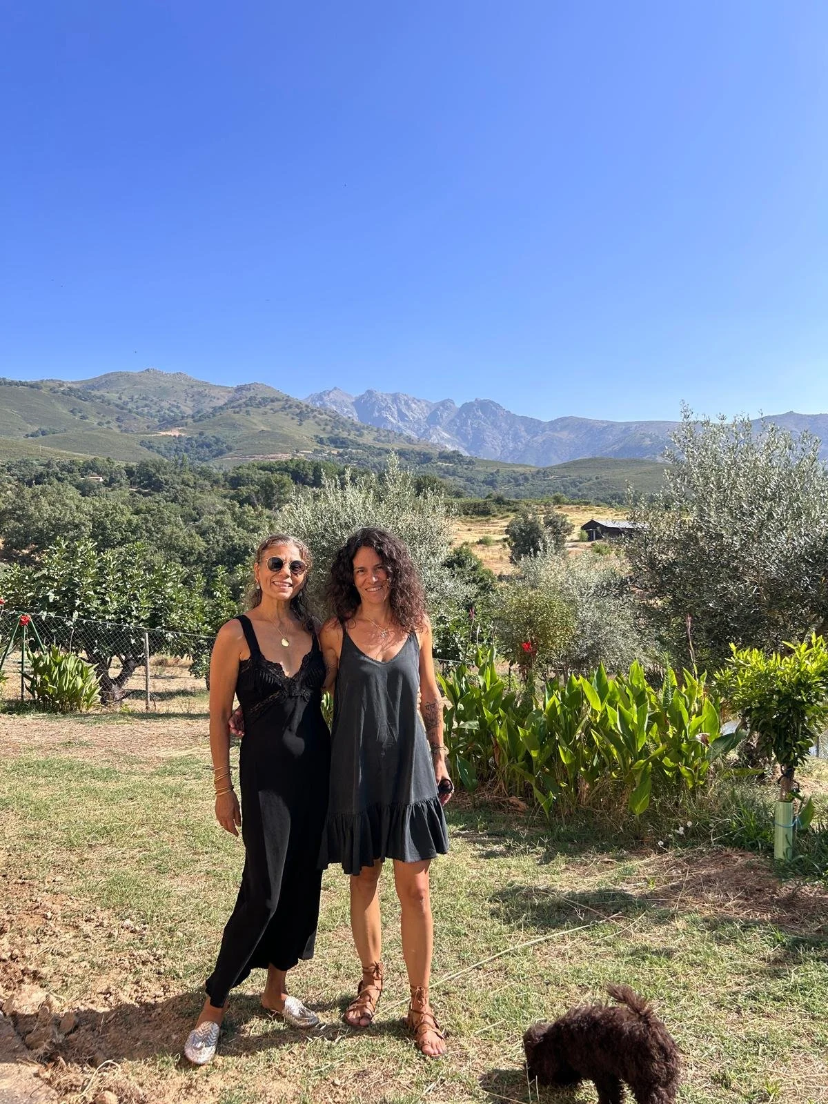 Meet Satya, the collaborating teacher in the Living Yoga Program