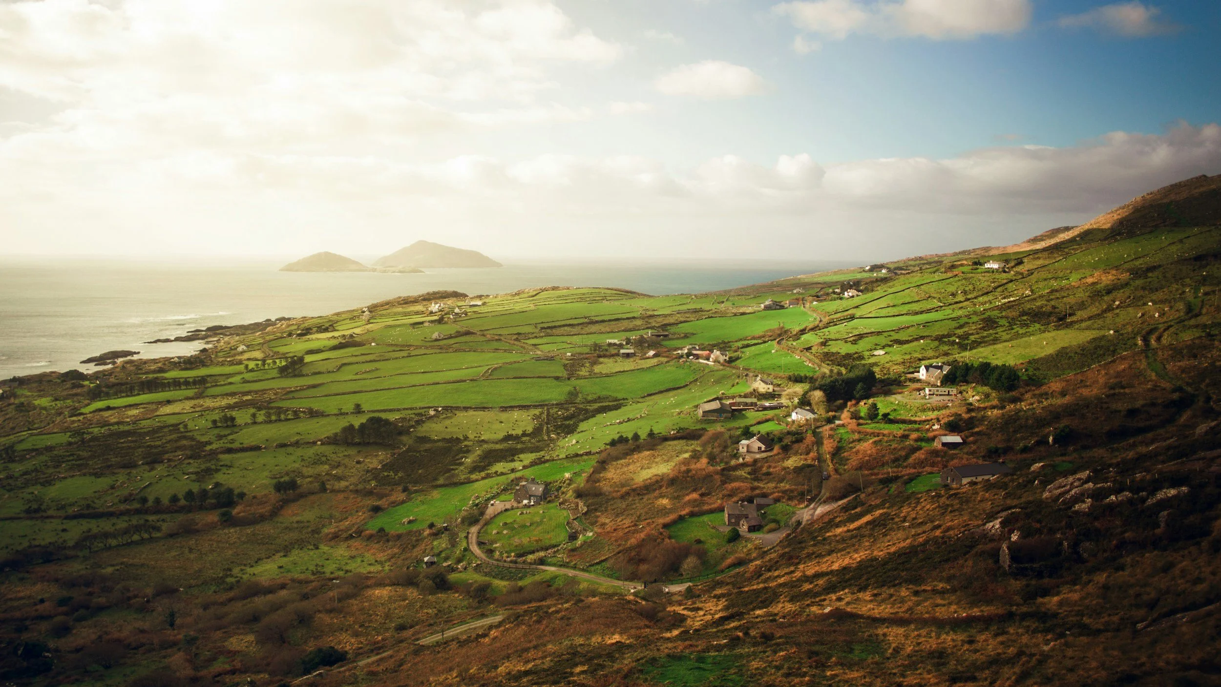   Irish Citizenship    Book Your Appointment  