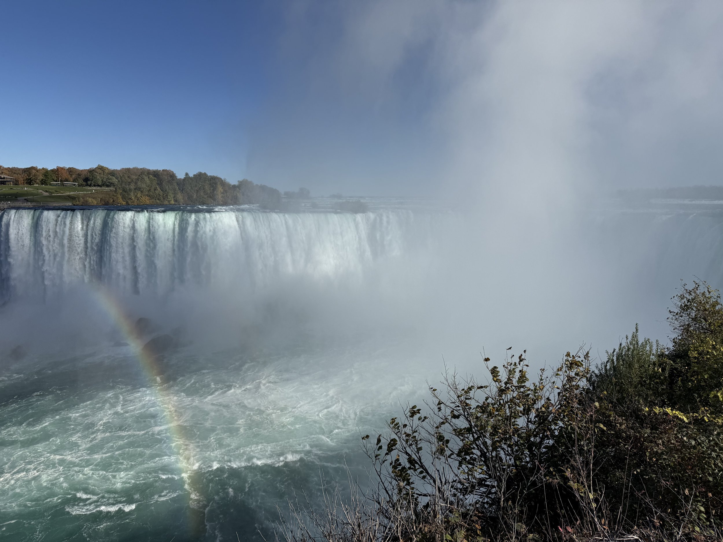 IMG_1748.jpeg