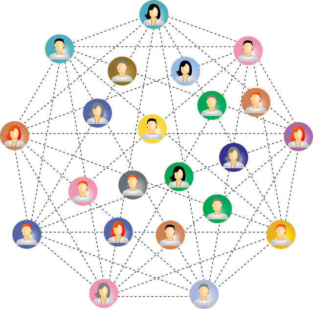 connections-2099068_640.png