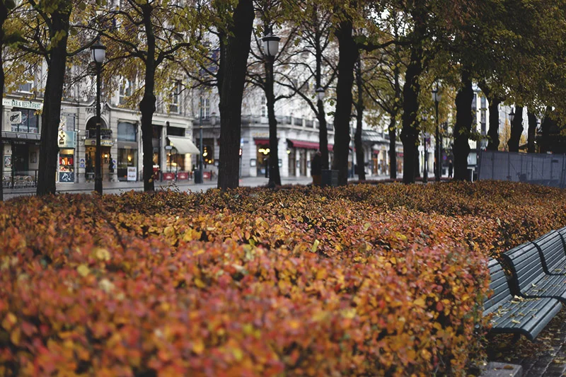 oslocity1.jpg
