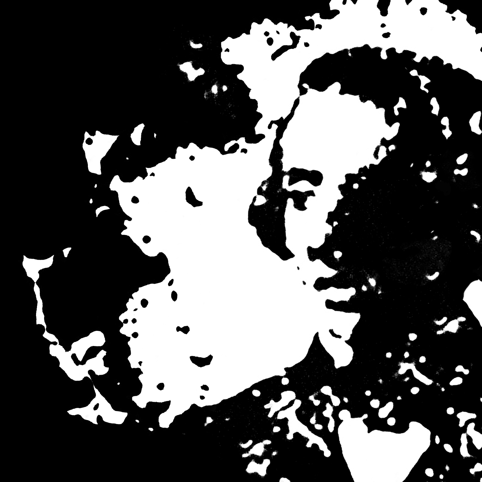 Frédéric chopin. image - ivan moshchuk