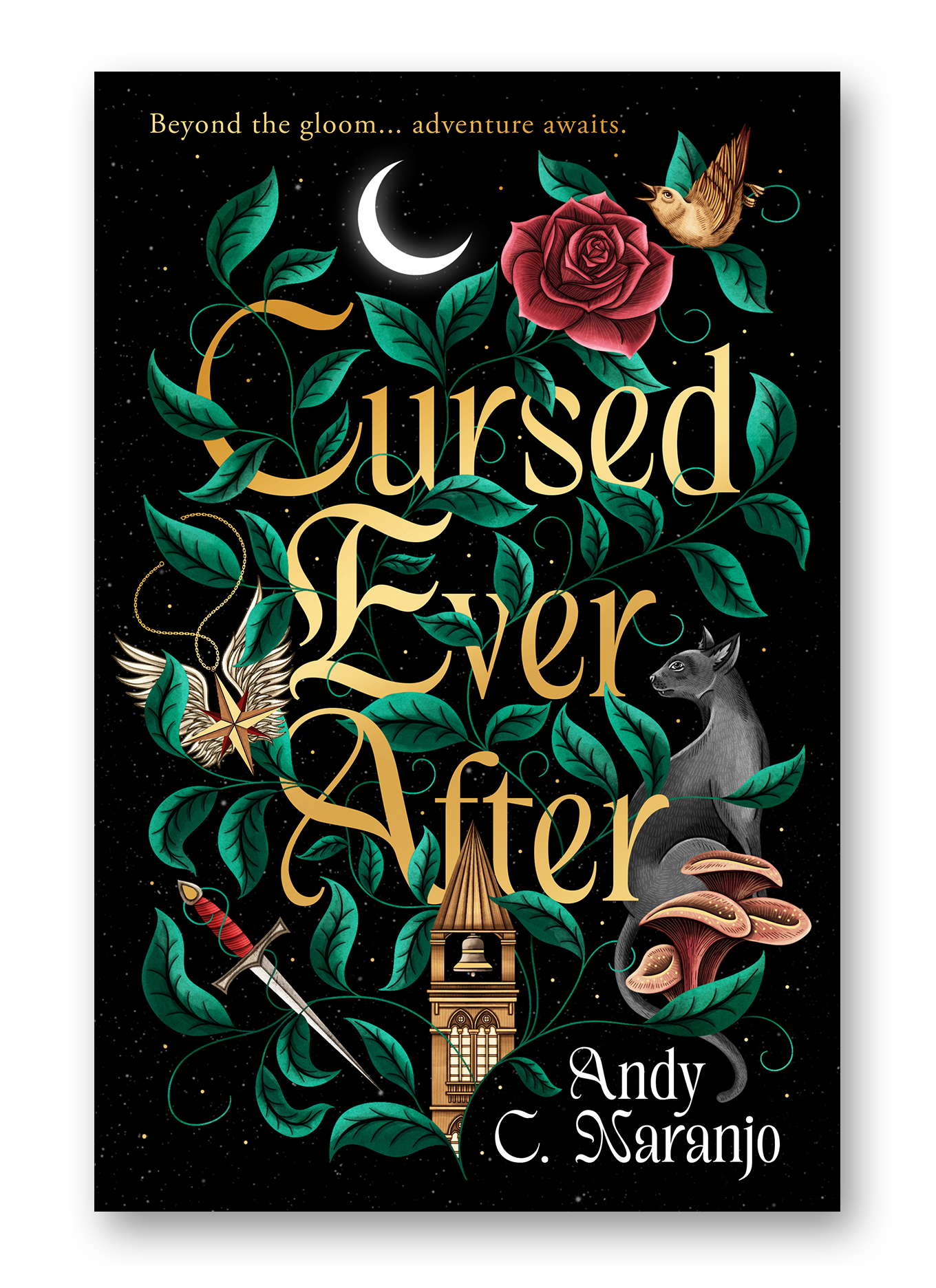 Design and Illustration