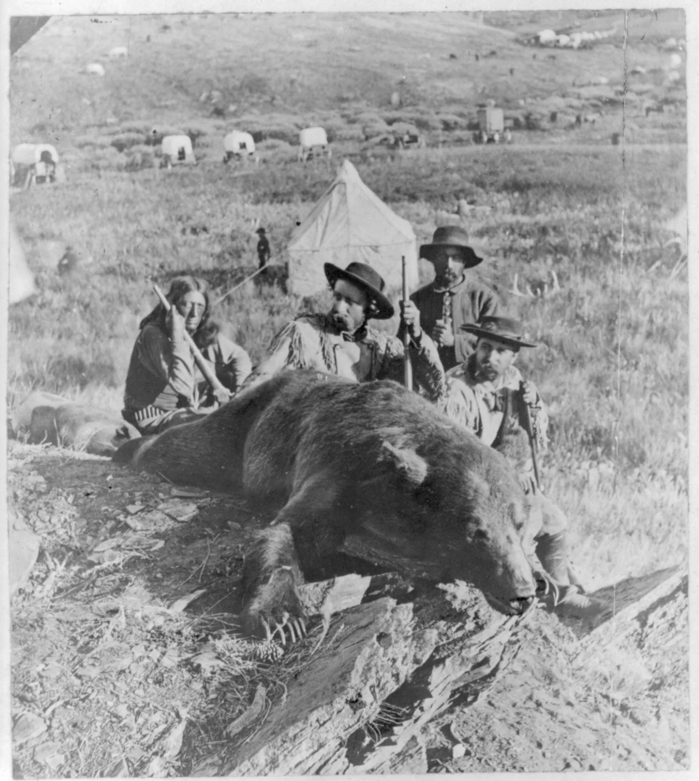 custer bear jpeg.jpg