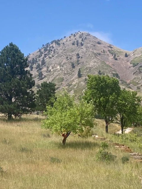 Black Hills photo.JPG