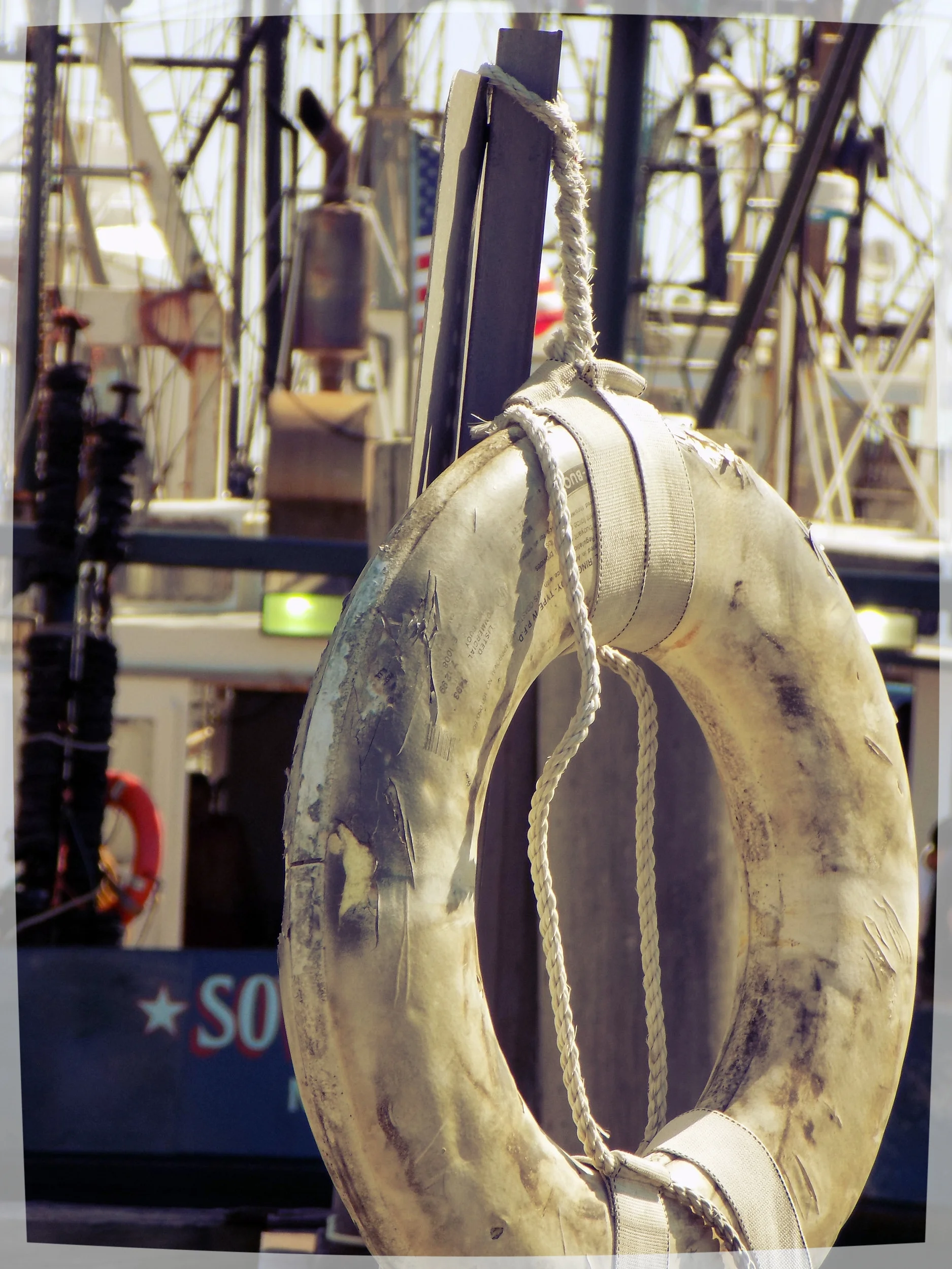  New Bedford State Pier.     📸: Sabrina Fay 