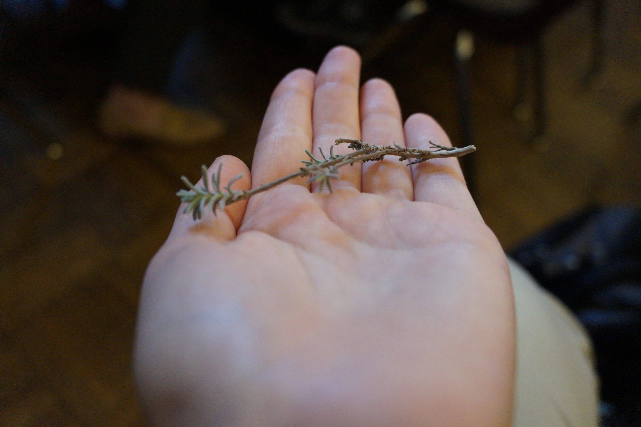  Spice workshop.     📸: Sabrina Fay 