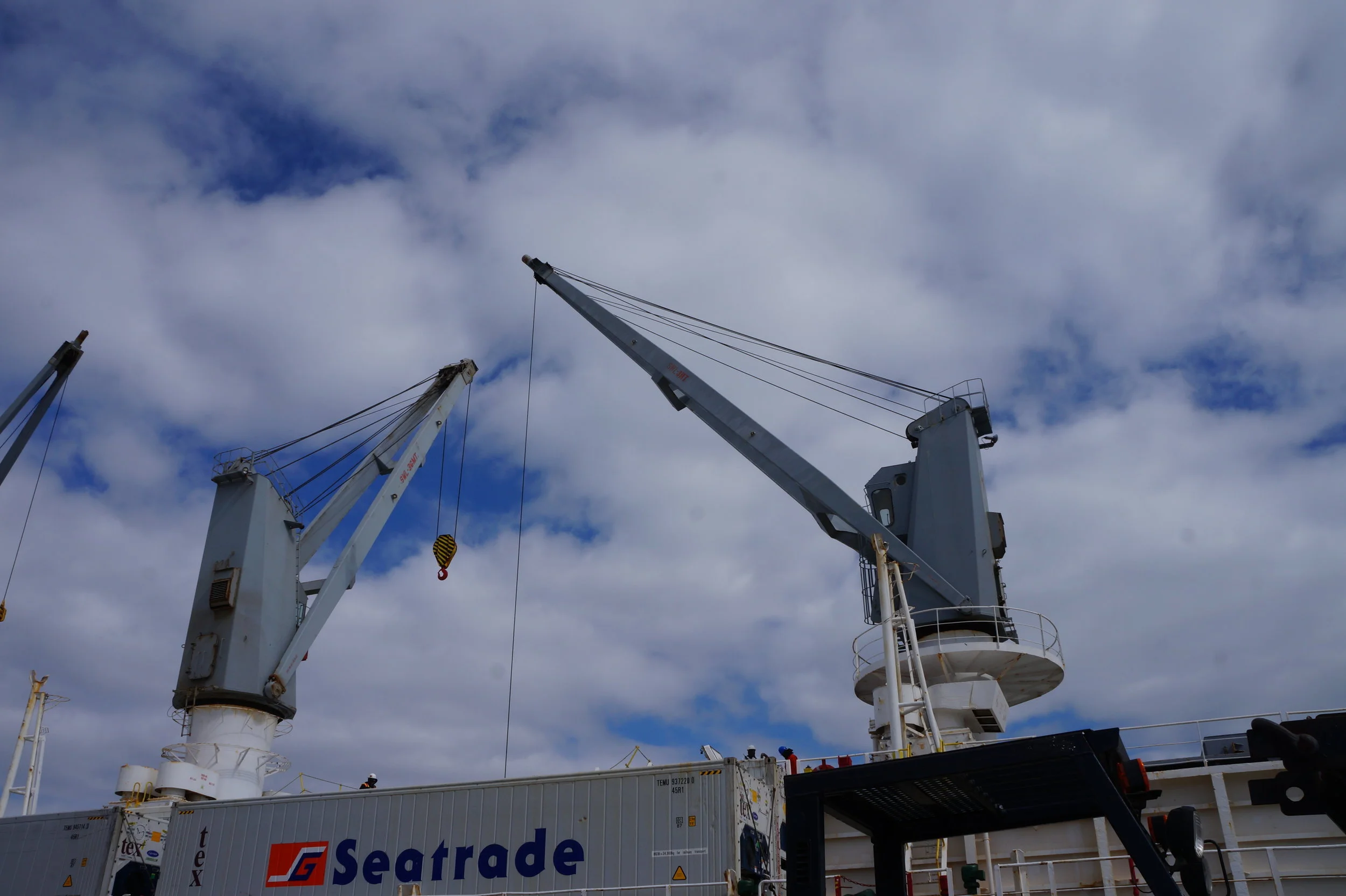 Meeting the Clementines!