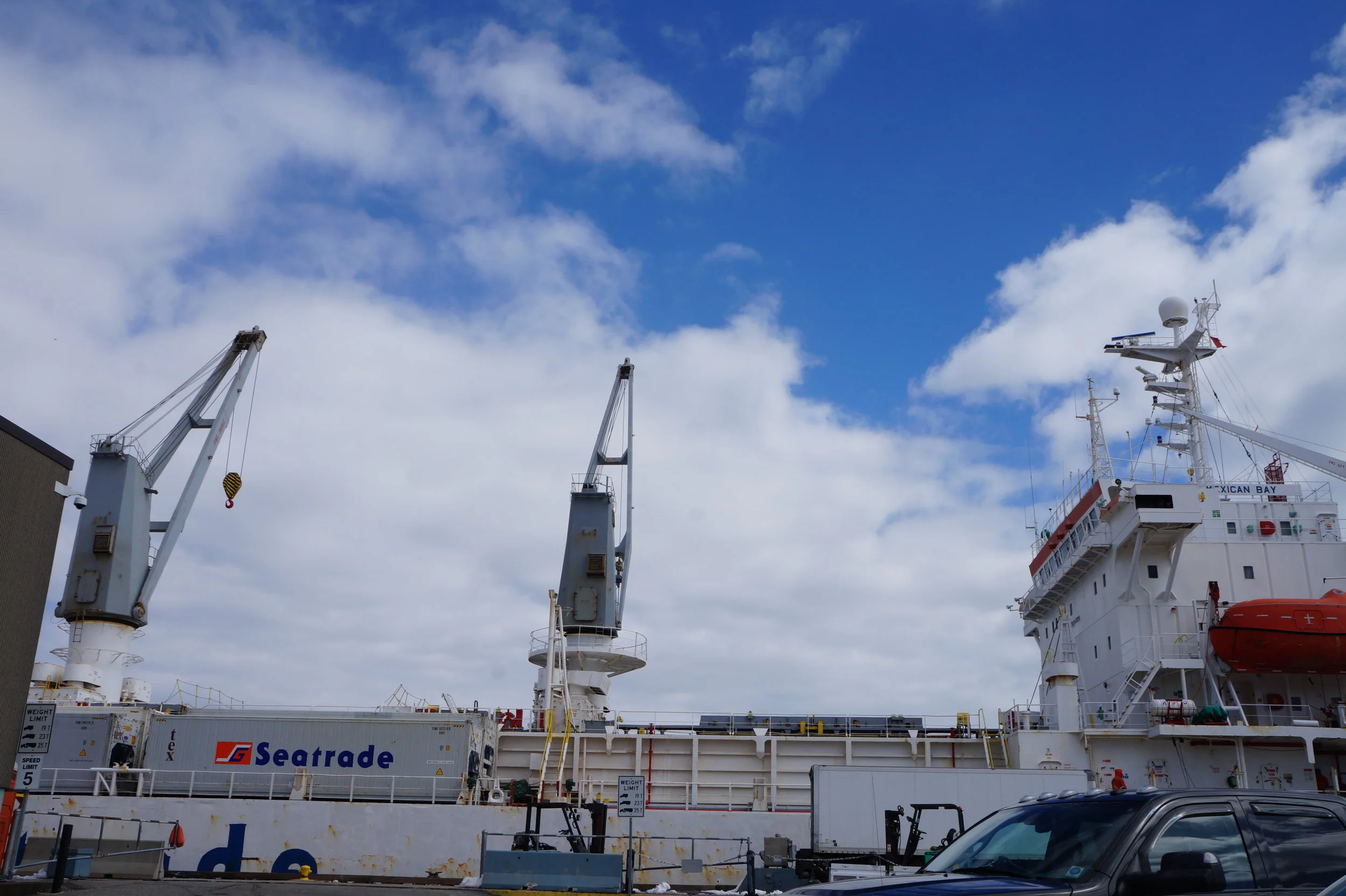  Clementine field study.     📸: Sabrina Fay 