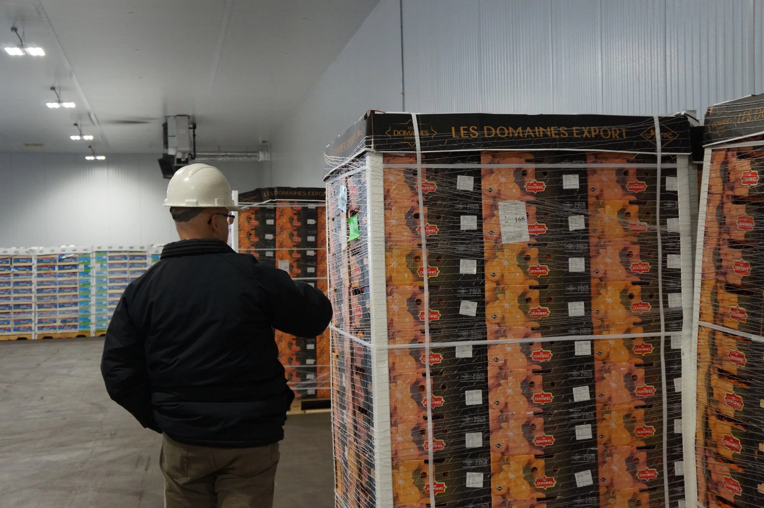  Clementine field study.     📸: Sabrina Fay 