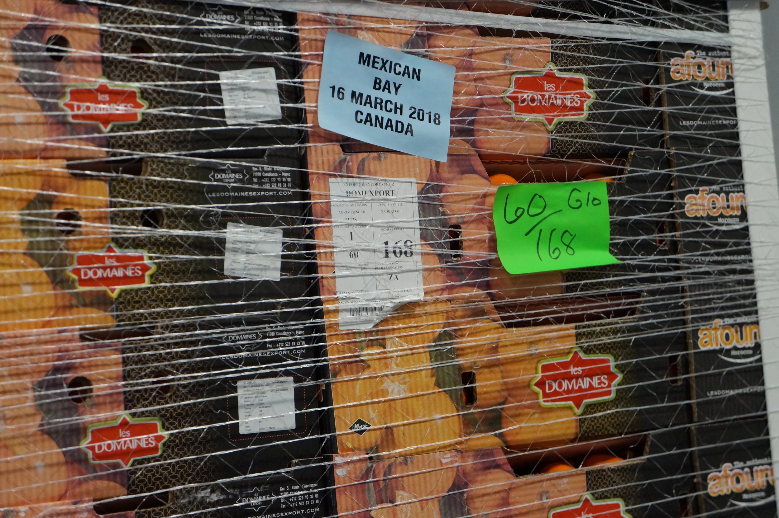  Clementine field study.     📸: Sabrina Fay 