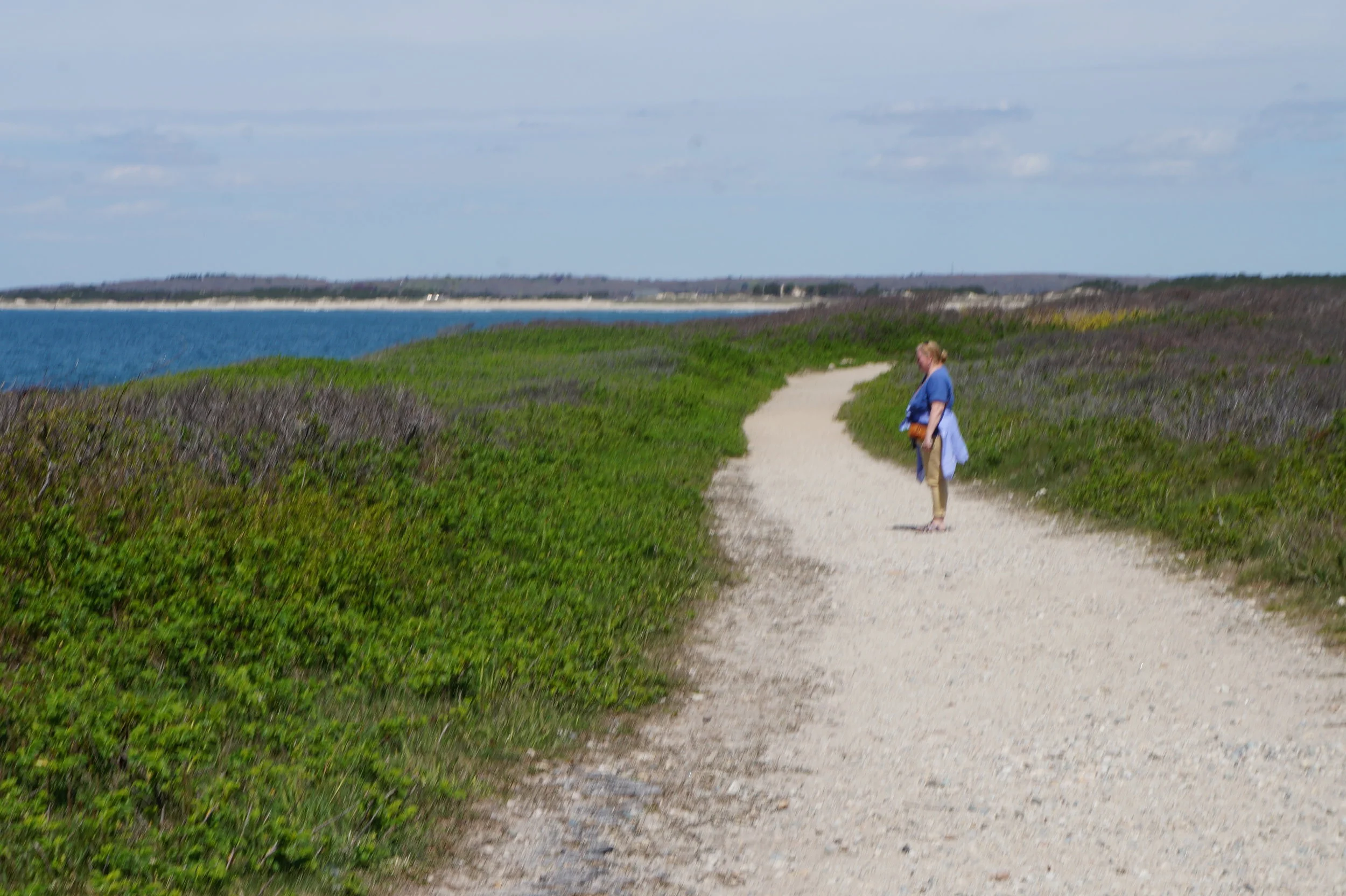 Walking Through Westport