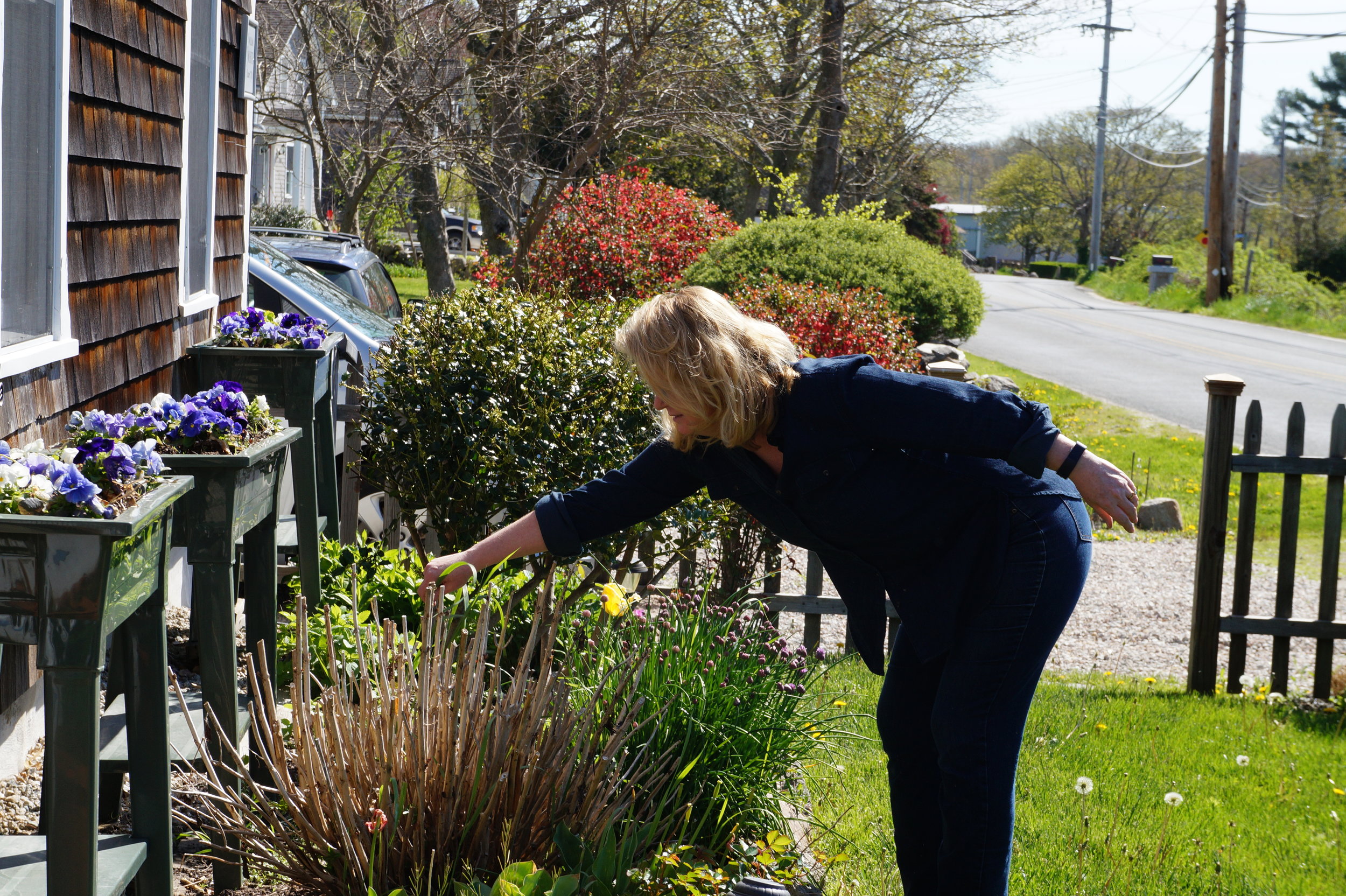  Westport field study.    📸: Sabrina Fay 