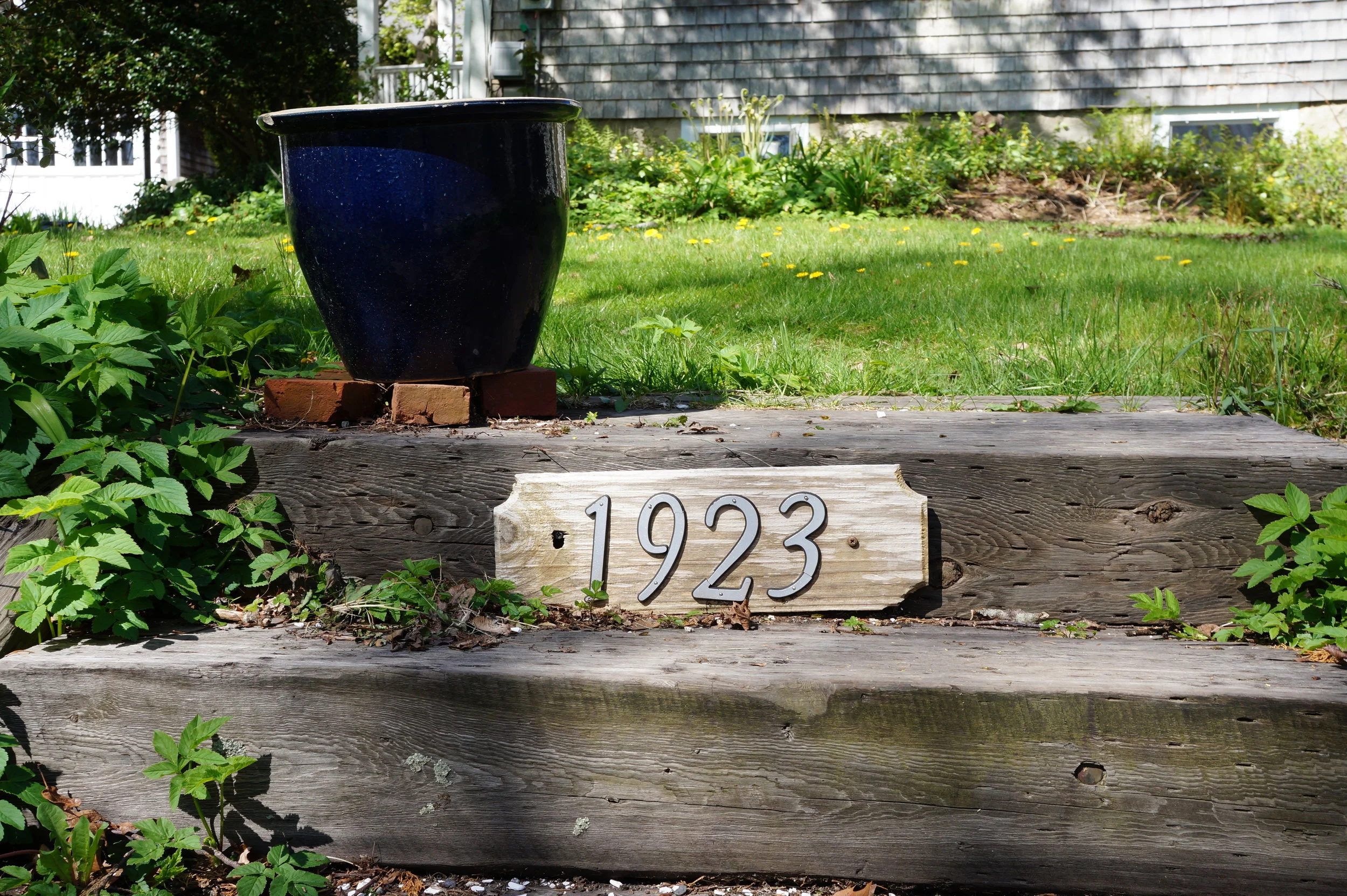  Westport field study.    📸: Sabrina Fay 