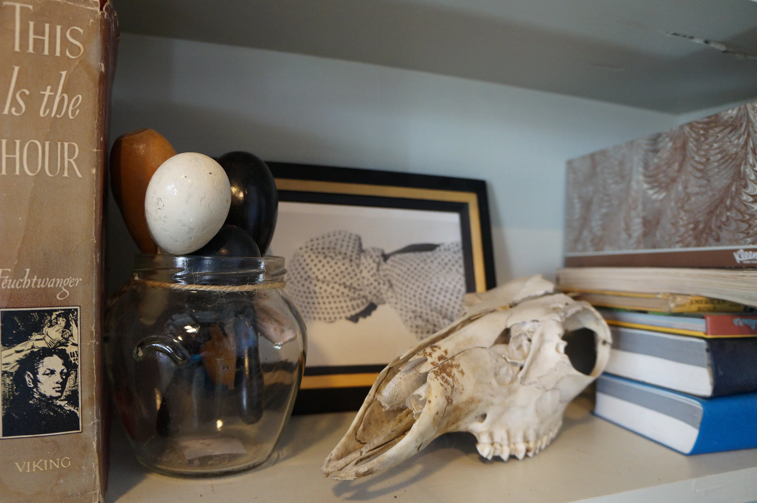  Westport field study.    📸: Sabrina Fay 