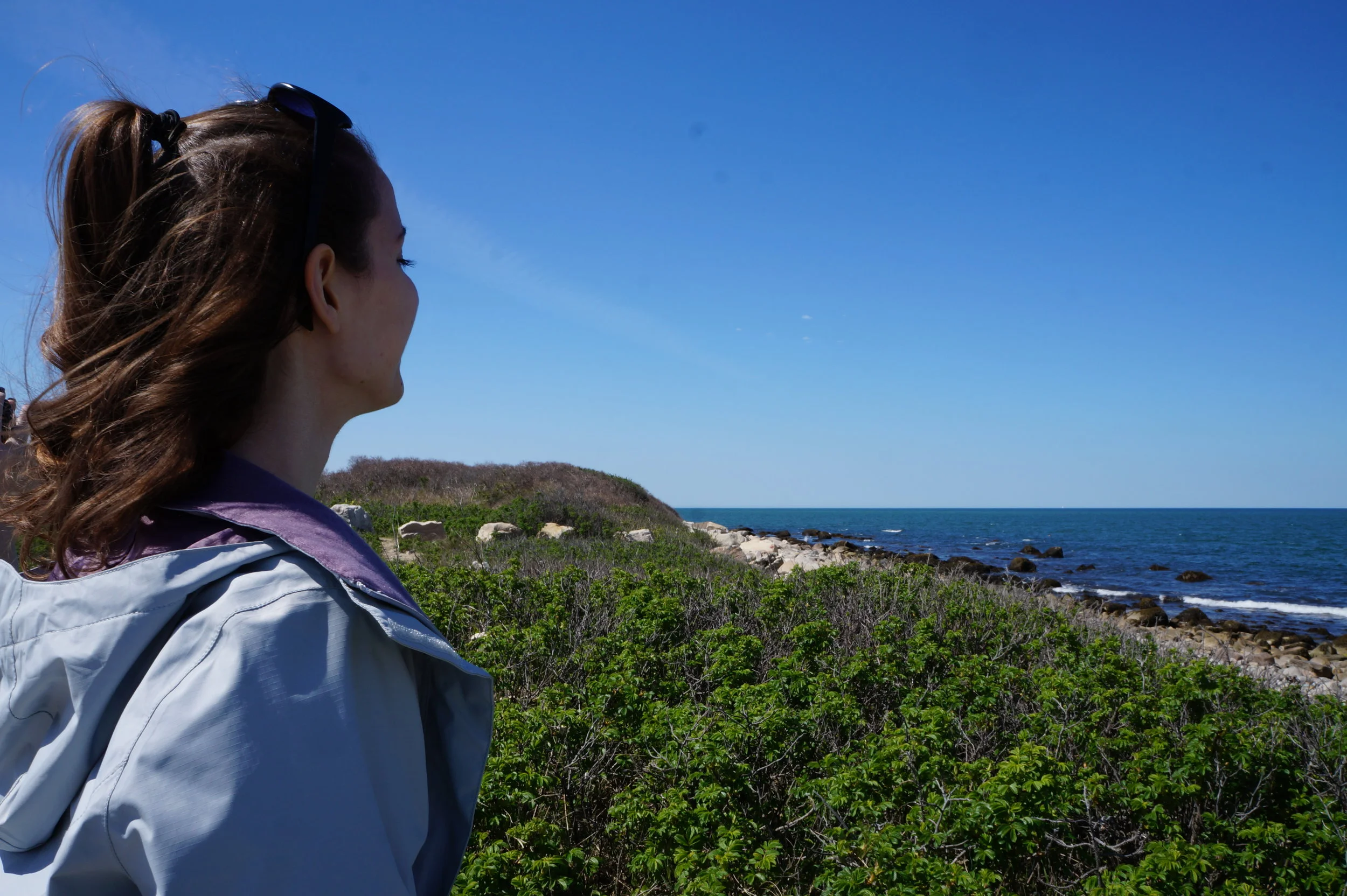  Westport field study.    📸: Sabrina Fay 
