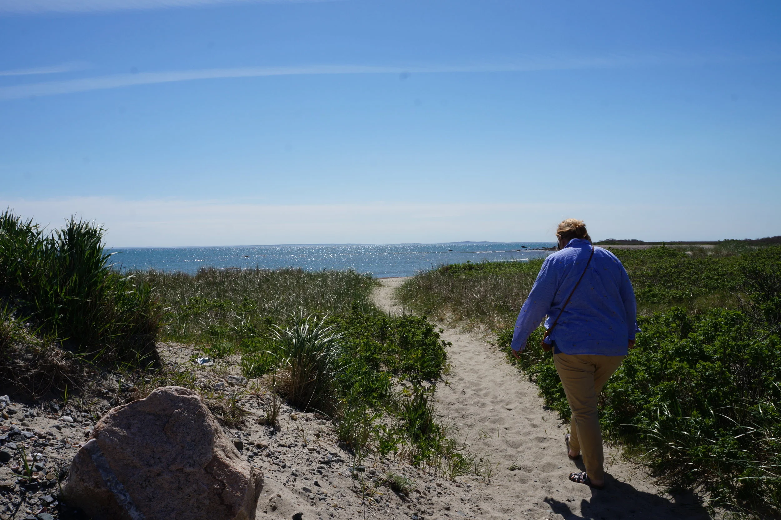  Westport field study.    📸: Sabrina Fay 