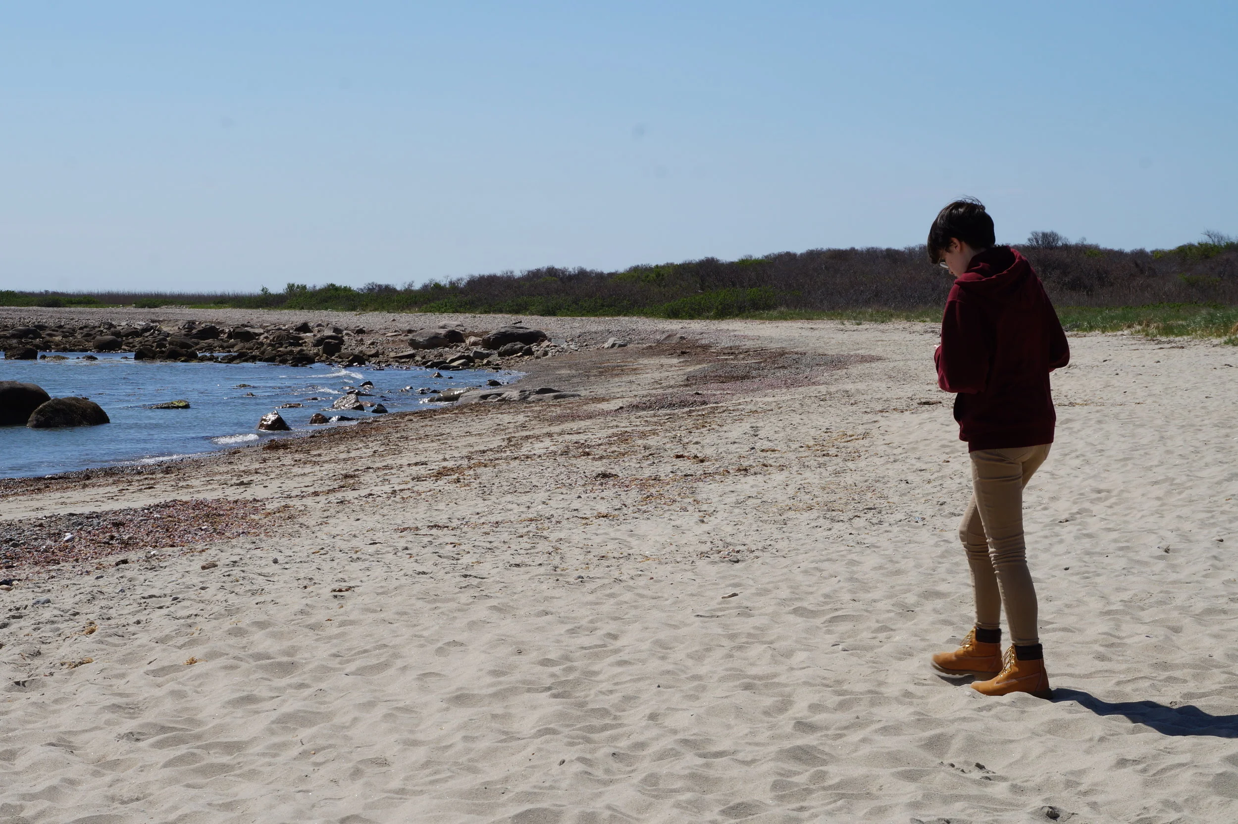  Westport field study.    📸: Sabrina Fay 