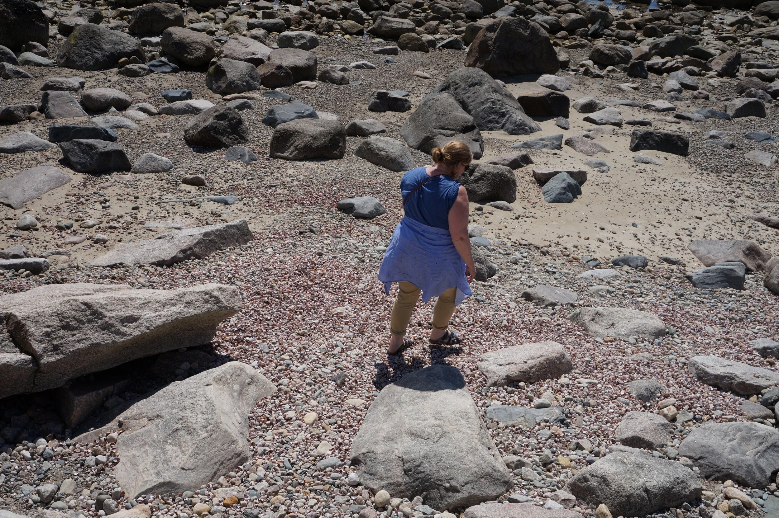  Westport field study.    📸: Sabrina Fay 