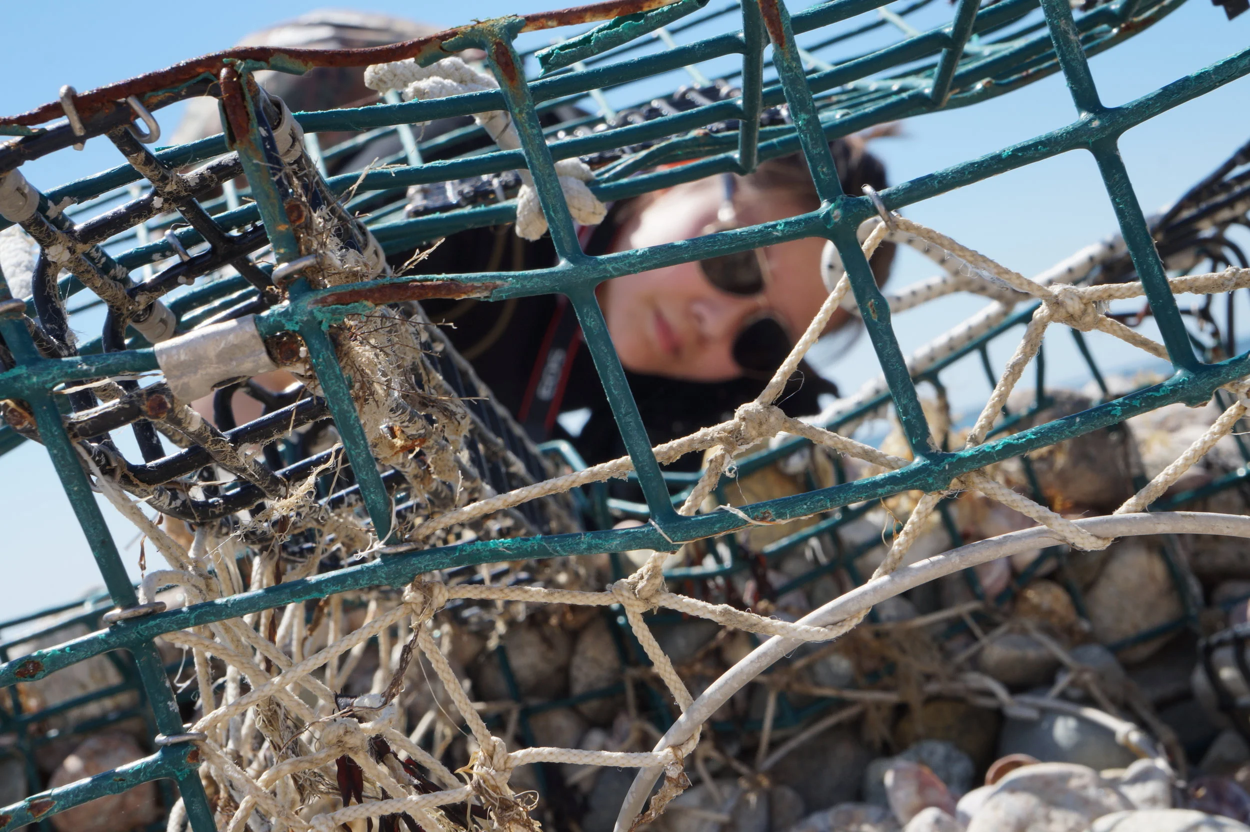  Westport field study.    📸: Sabrina Fay 