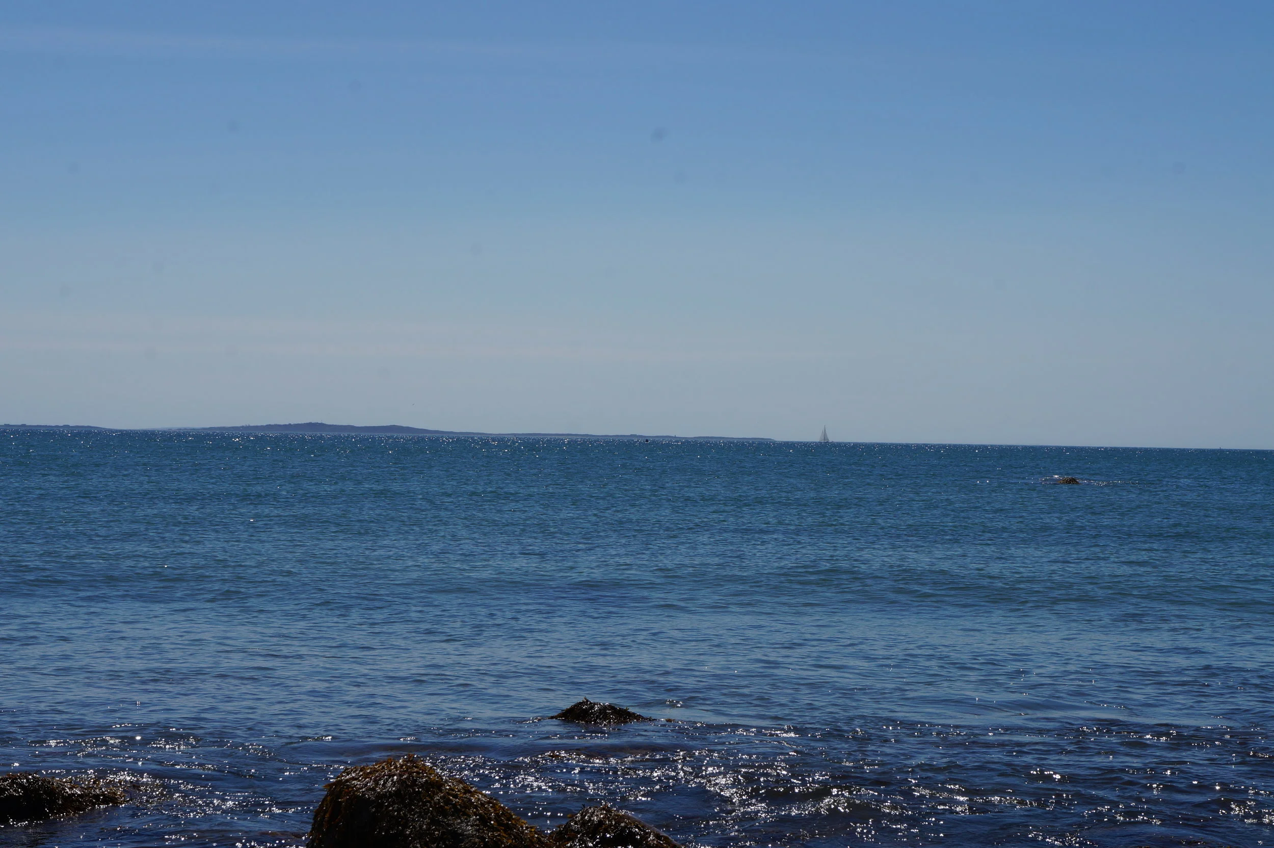  Westport field study.    📸: Sabrina Fay 