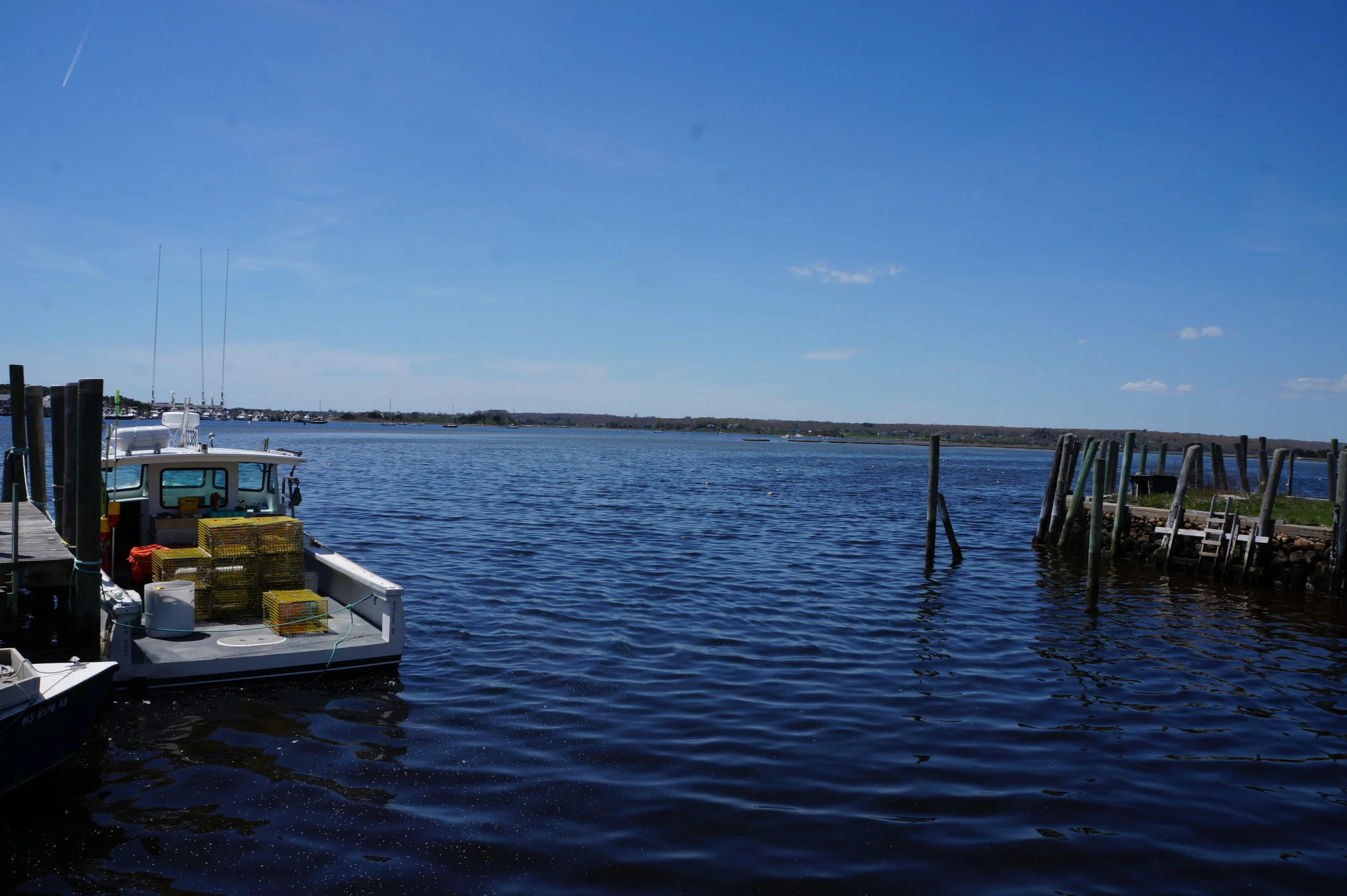  Westport field study.    📸: Sabrina Fay 