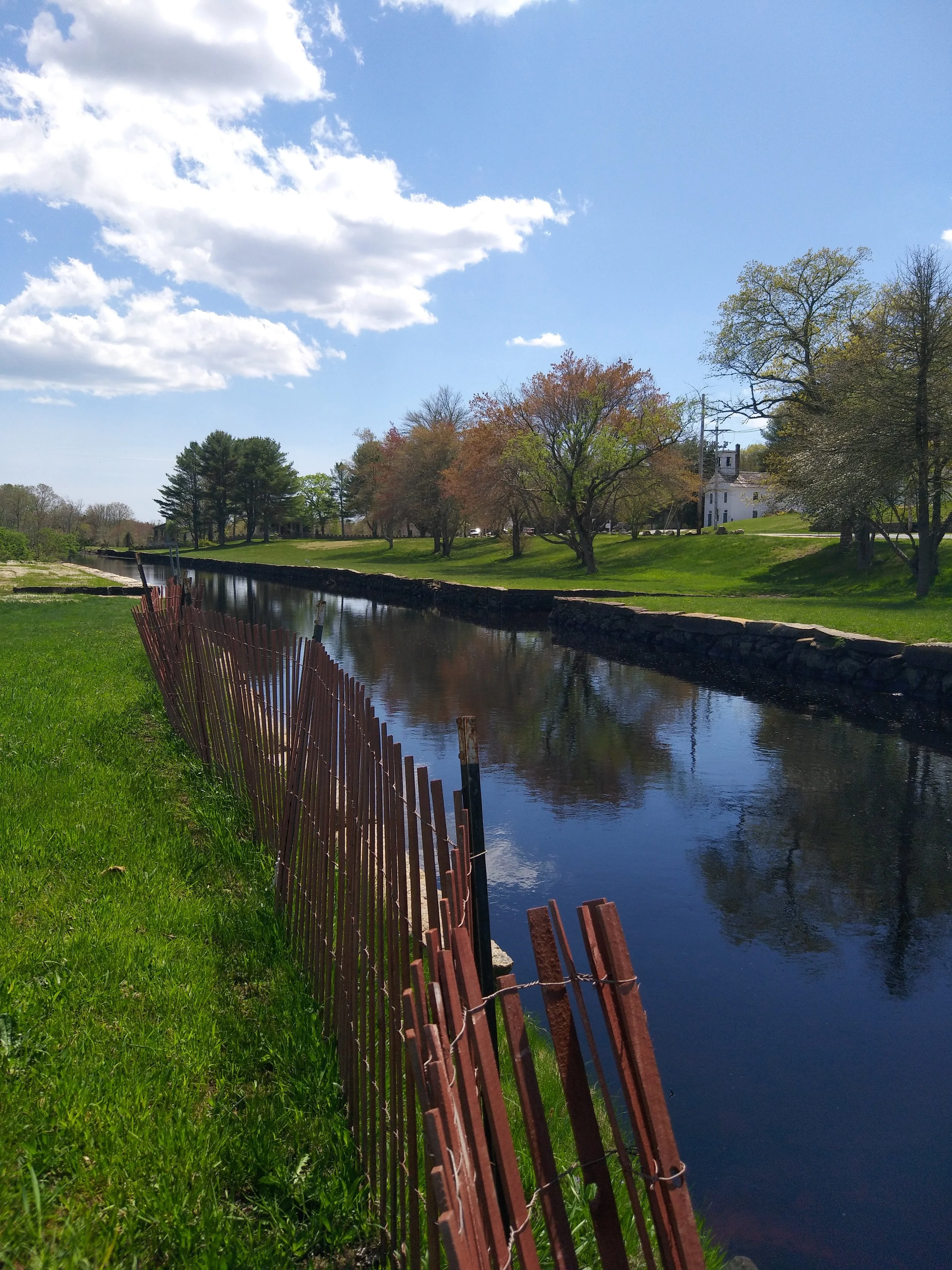Westport field study. 📸: Sabrina Fay