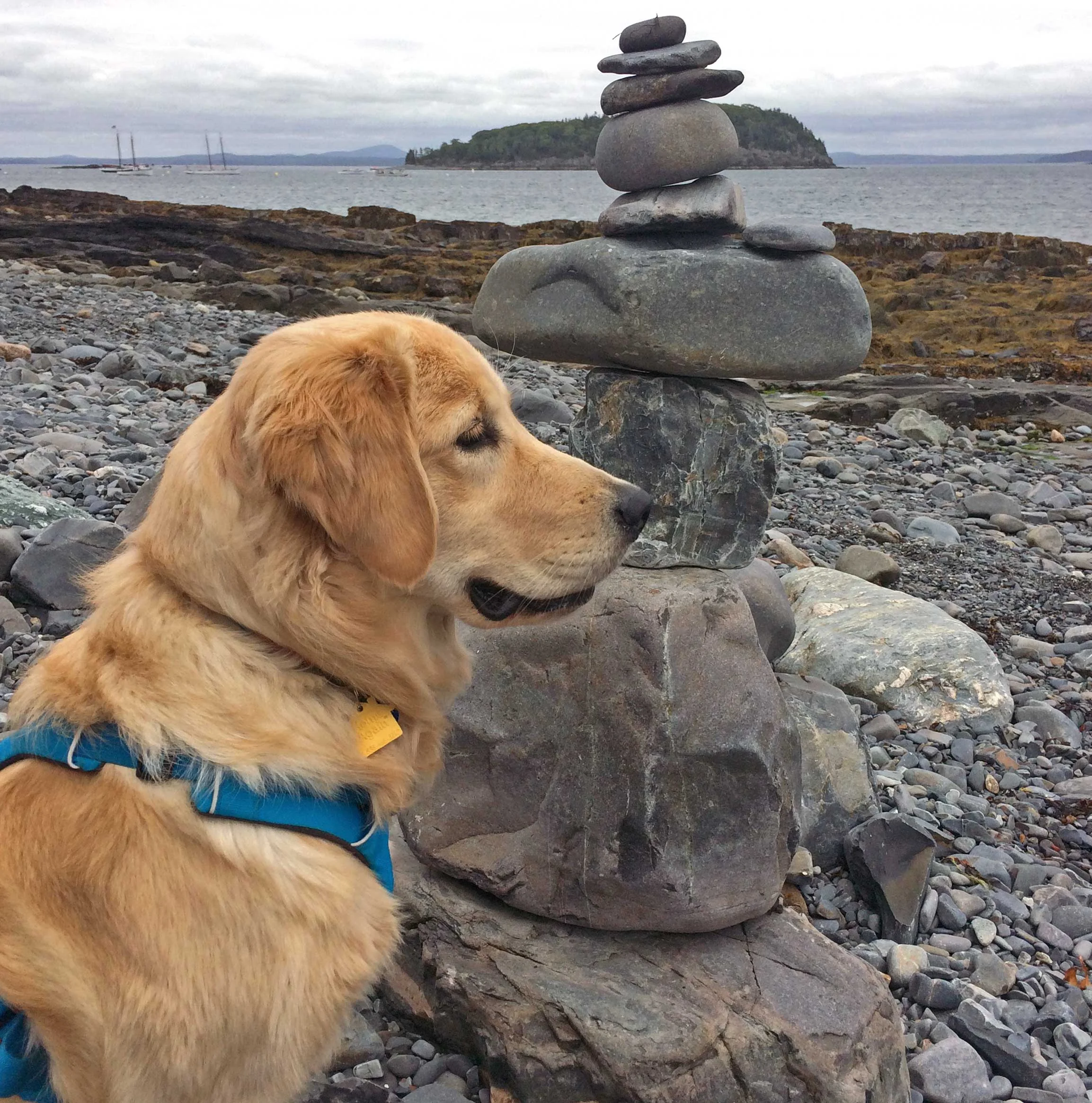 Lucy doing her best balancing rock impression