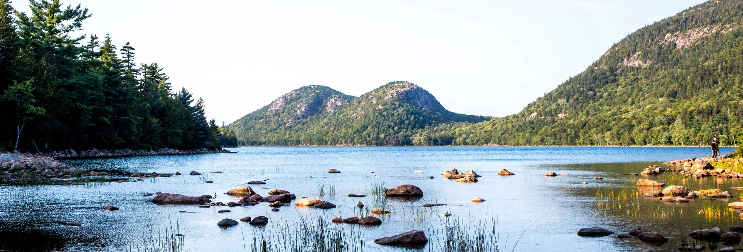 Double Bubbles at Jordan Pond