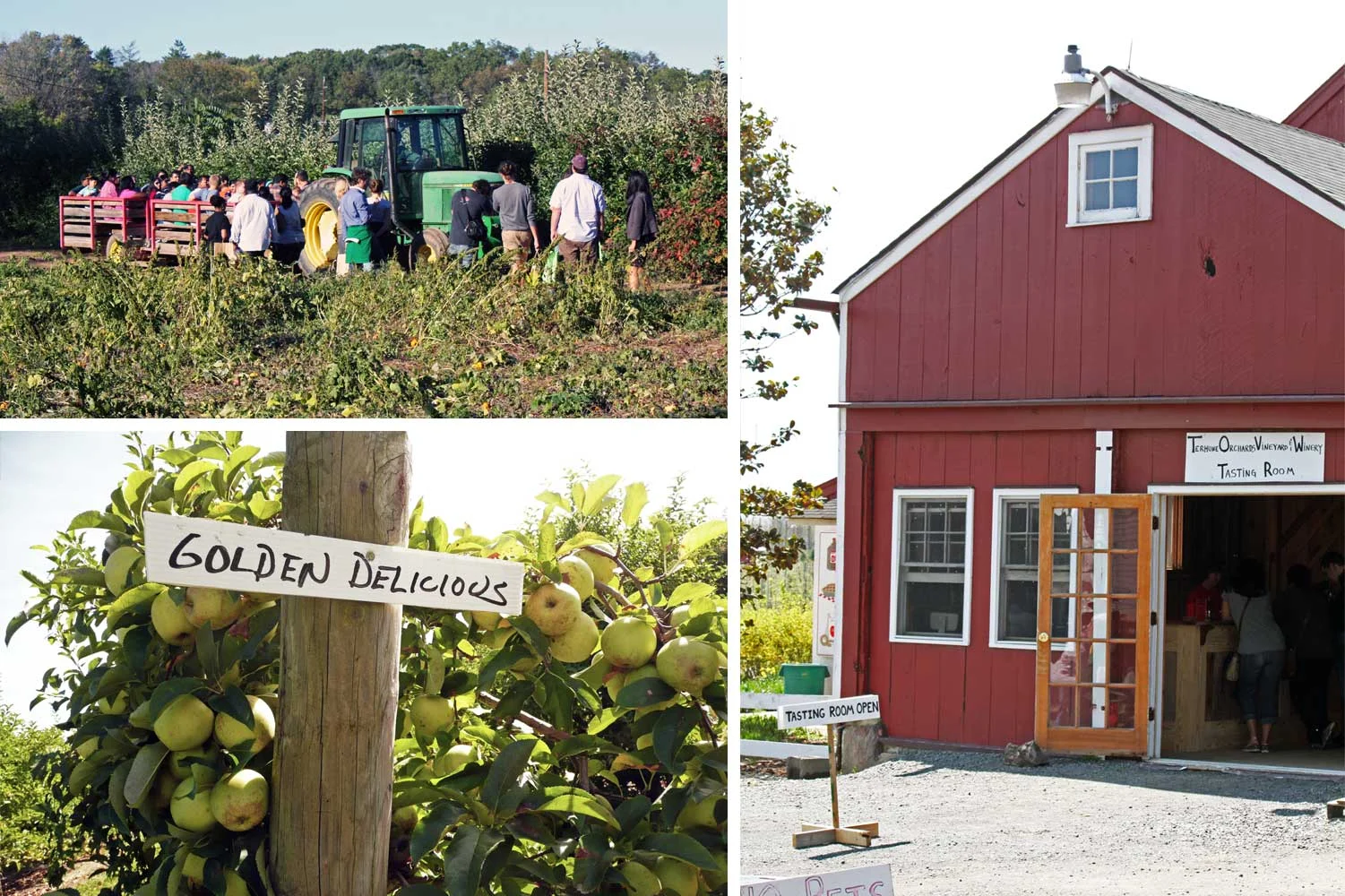 Terhune Orchards