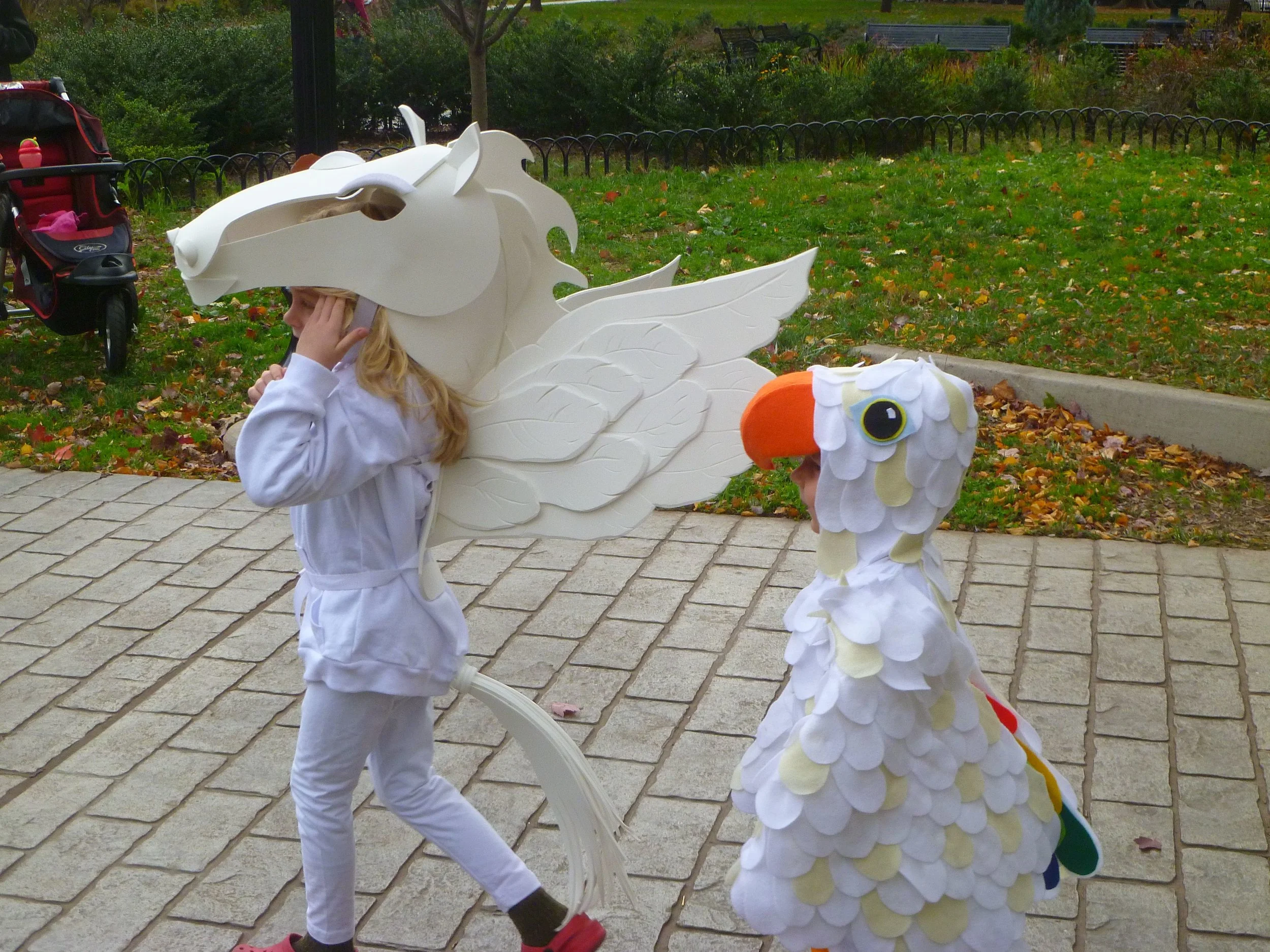 Pegasus and Einstein