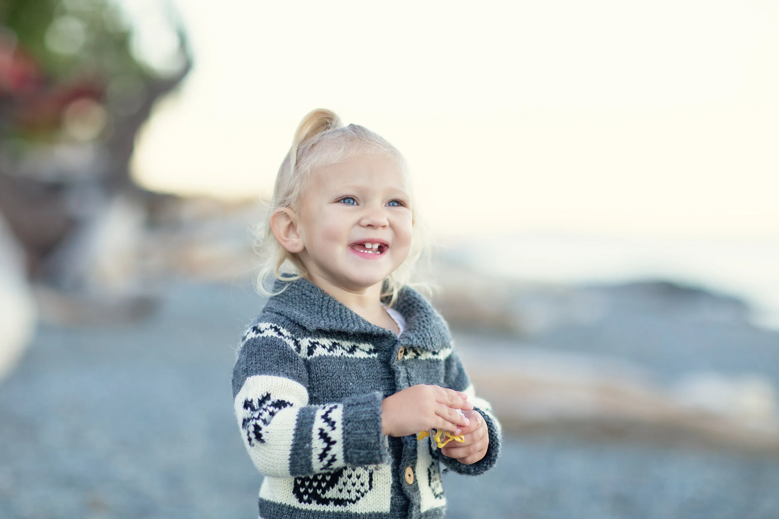 family photographer victoria bc