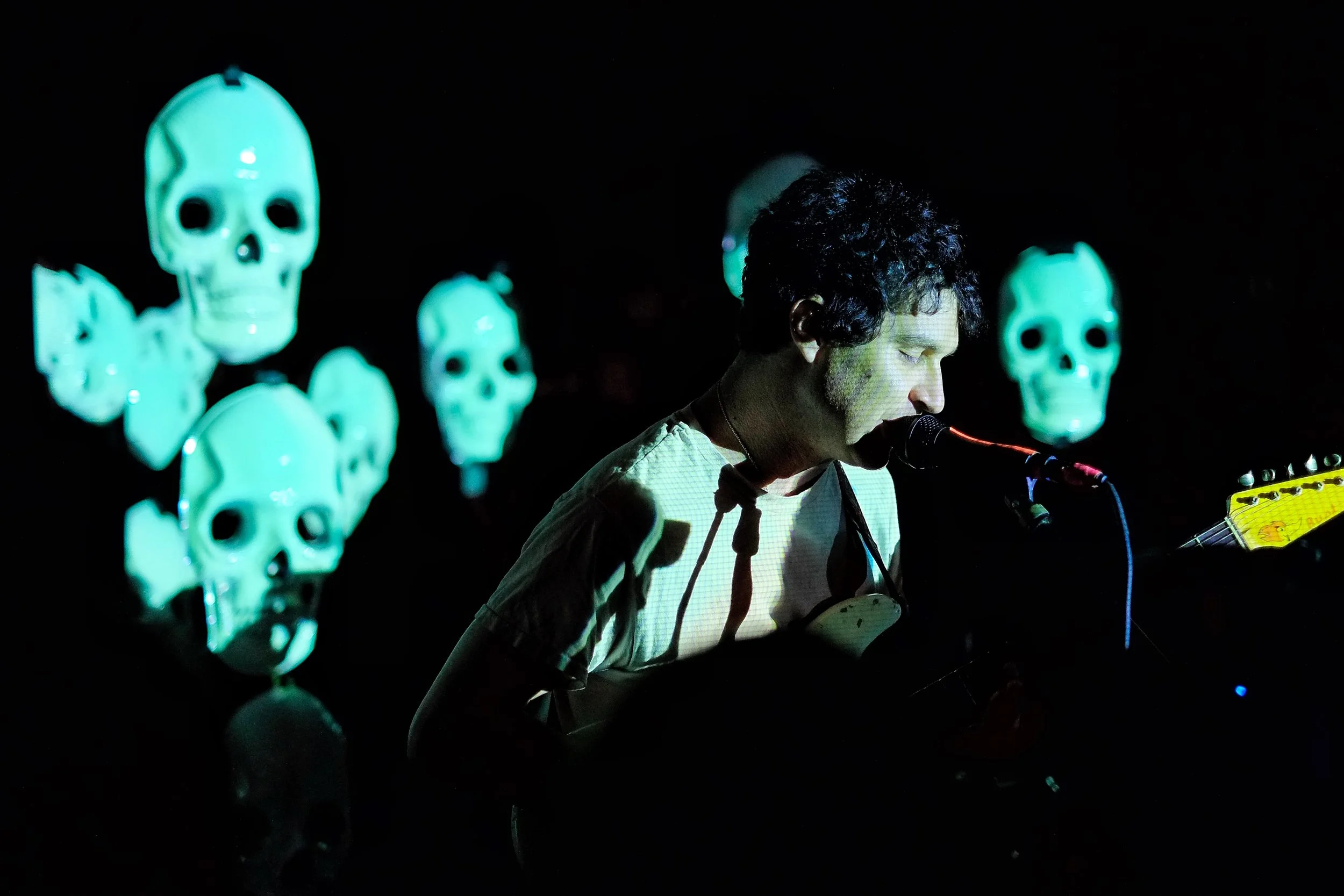 Avey Tare's Horror Flicks