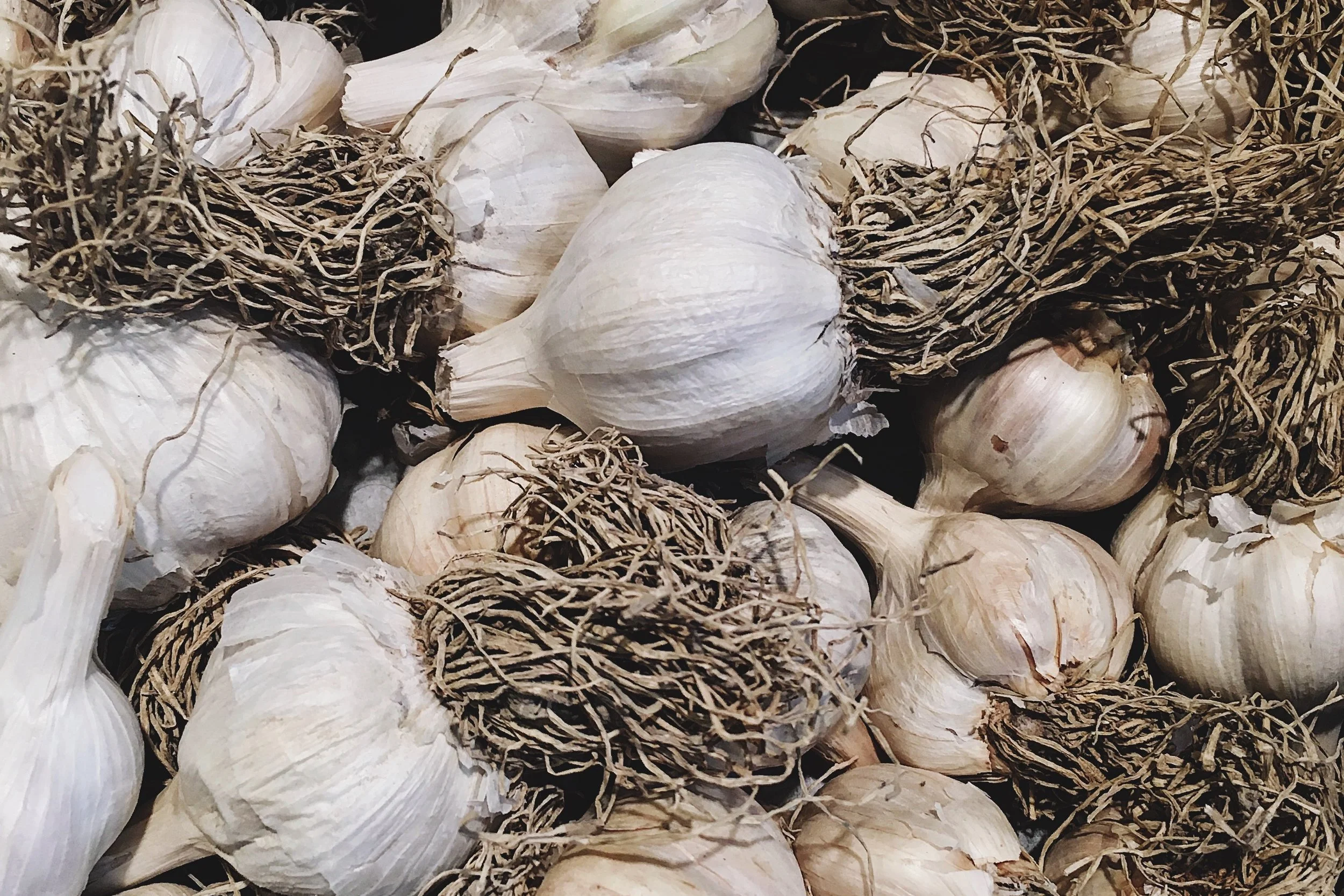 Garlic Cloves
