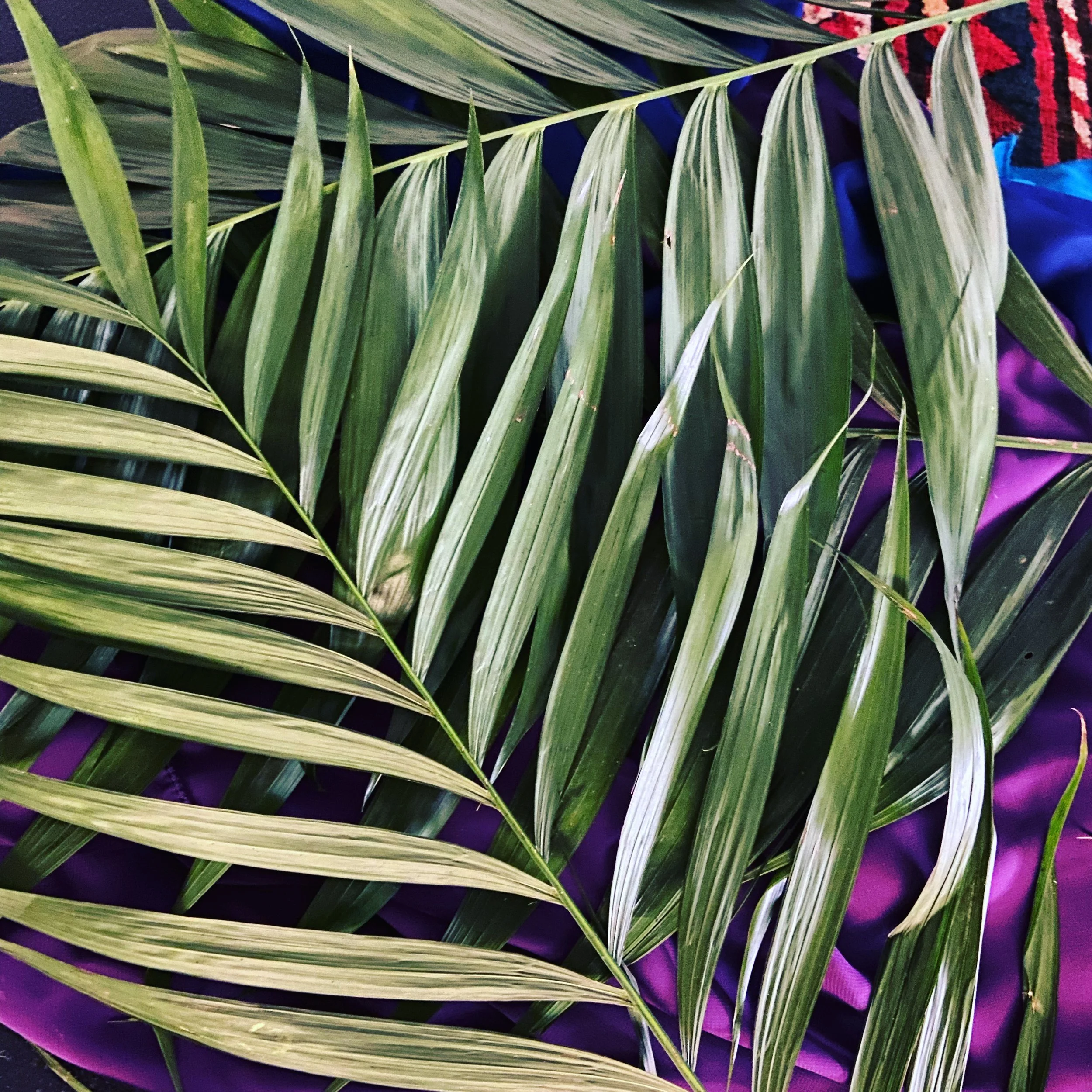 Prayer 4.2.23 (Palm Sunday)