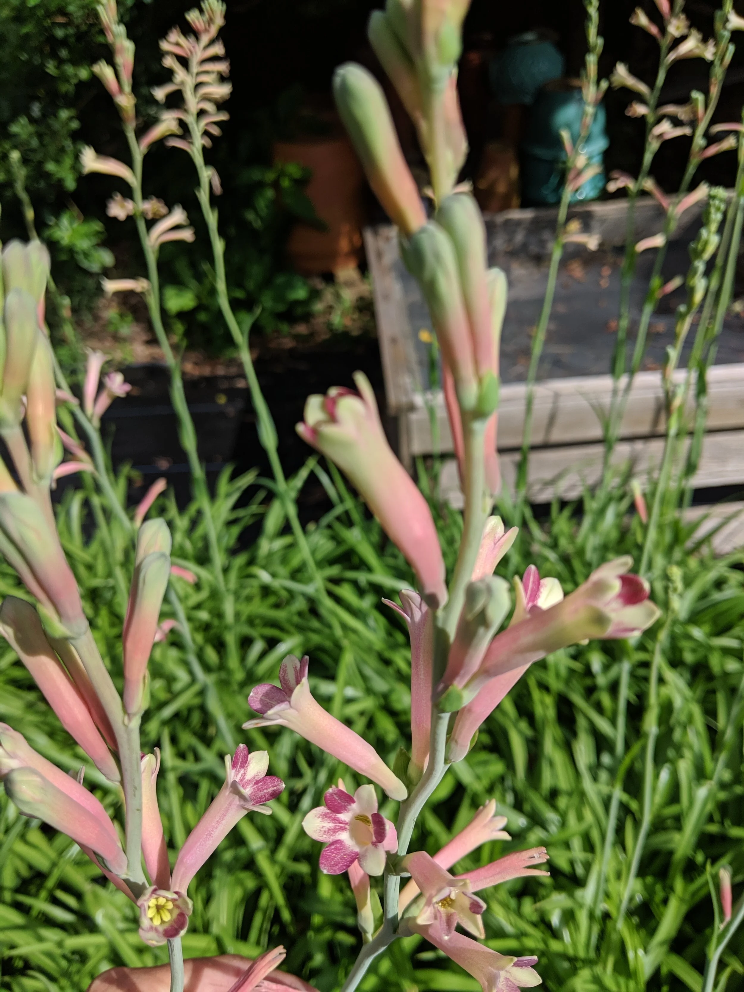 IMG_20190825_094404.jpg