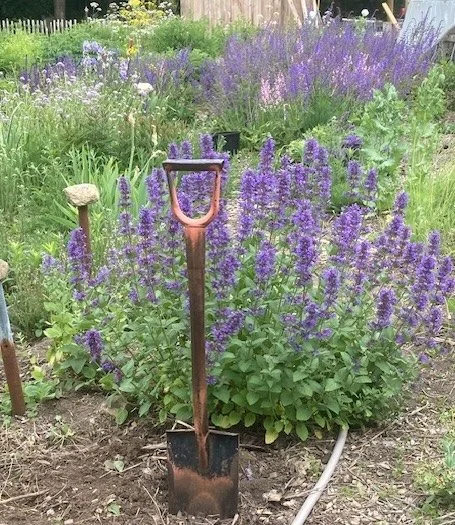 Hill Mounds scale.JPG