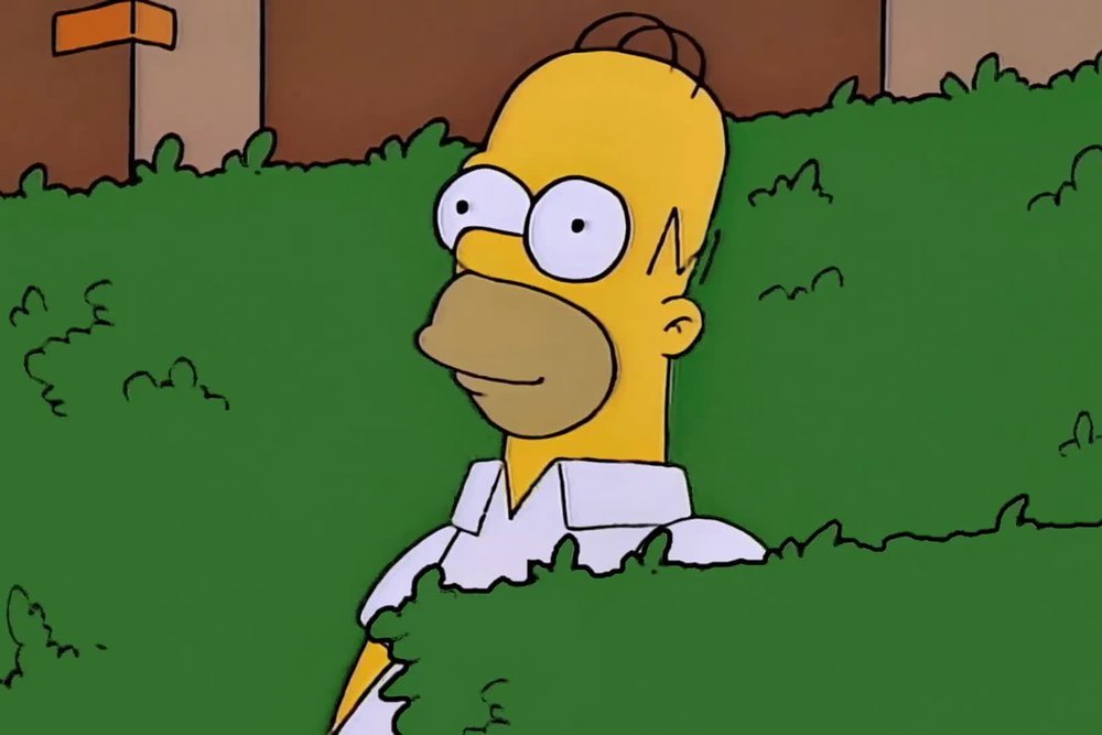 No+photo.jpg