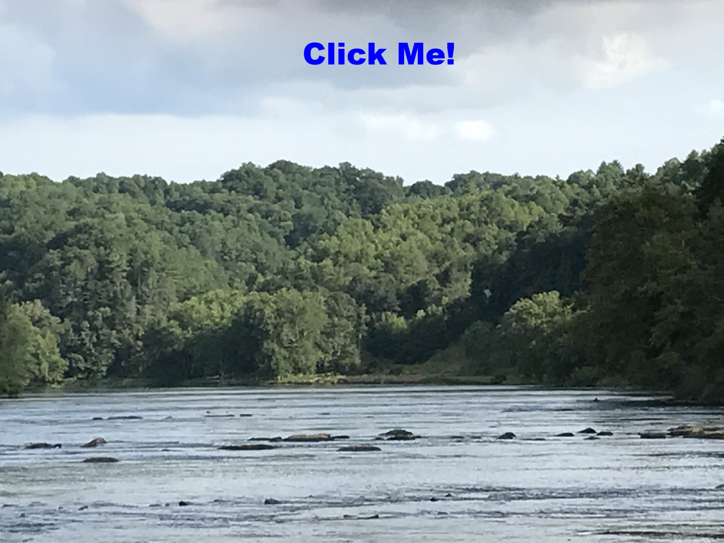 Charles and His Life