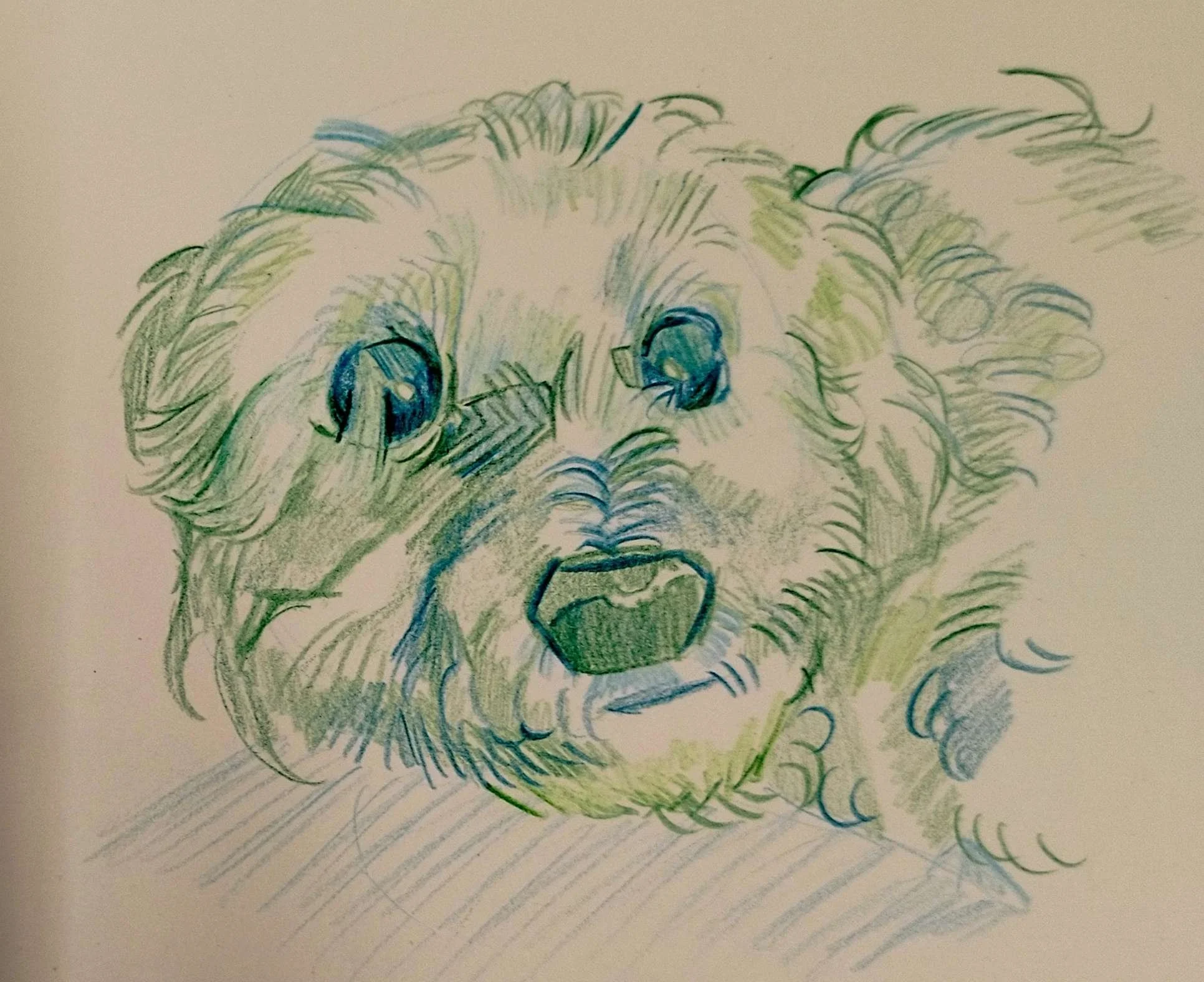 💚 Art of the Week! 💚

This week&rsquo;s piece comes from Eirinn, who created these lovely hand-drawn portraits of her dog, Rosita 🐶
We love seeing our students bring their own stories and interests into their artwork - great work, Eirinn!

Give it