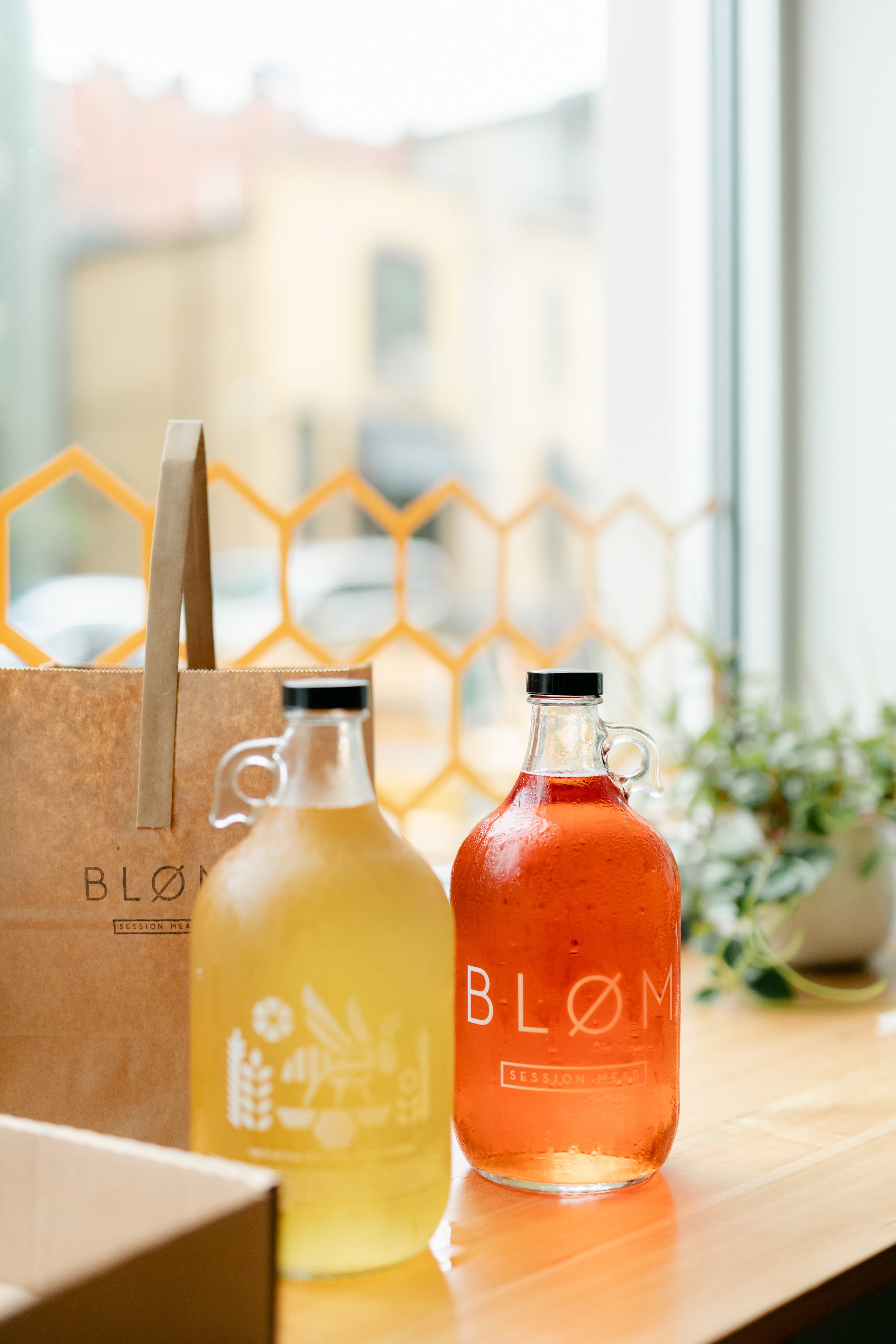 blom-483 - Lauren Bloom.jpg
