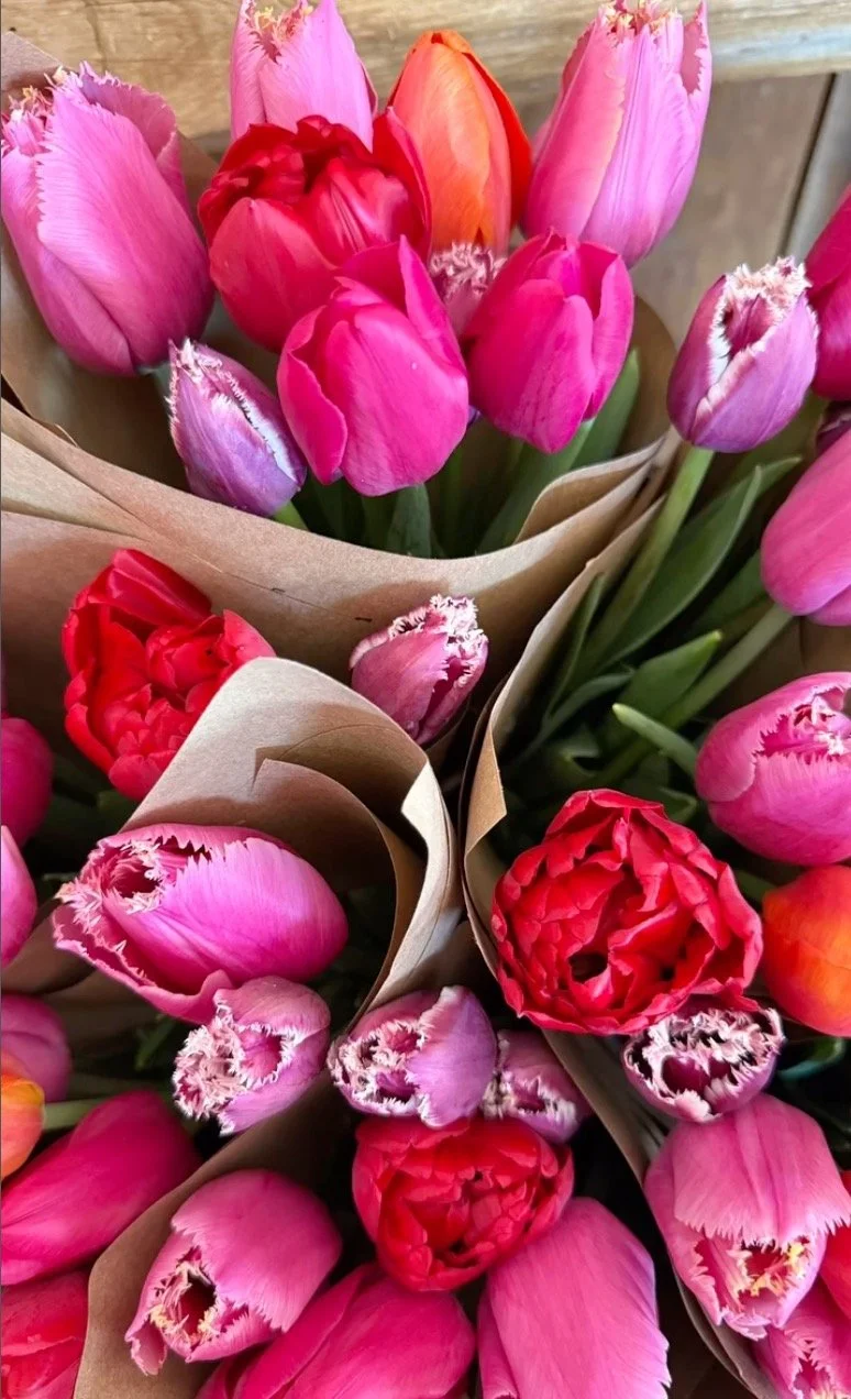 Screenshot 2026-01-14 at 10.06.46 PM - Lauren Bloom.jpg