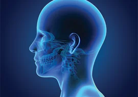 2nd Year Head and Neck revision class