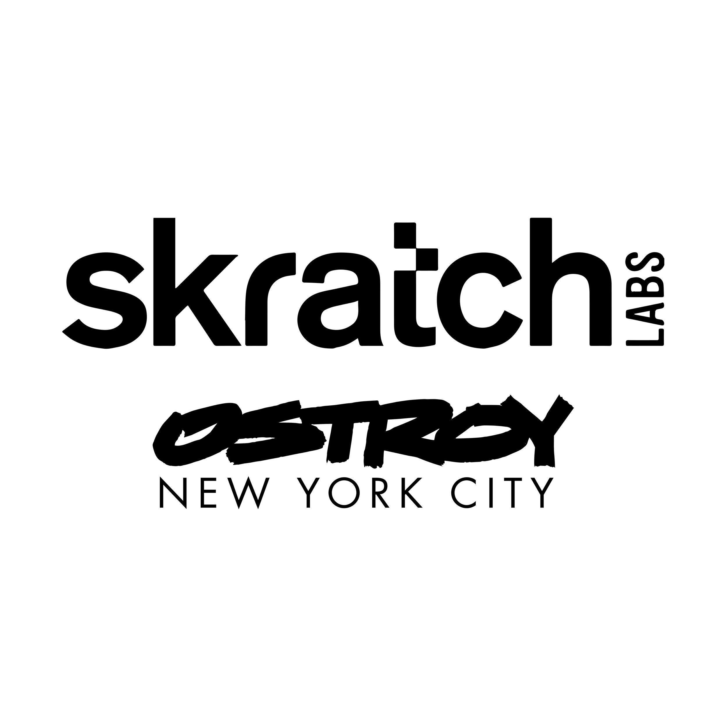 logo2 skratch labs ostroy.png