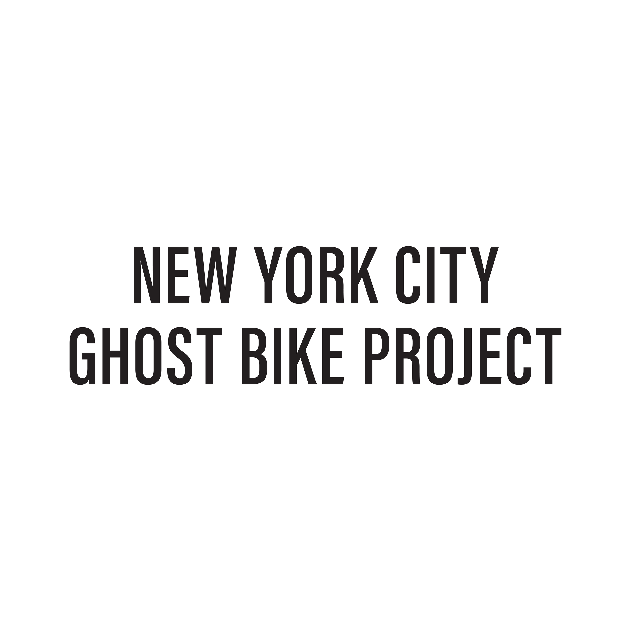logo2 nyc ghost bike project.png