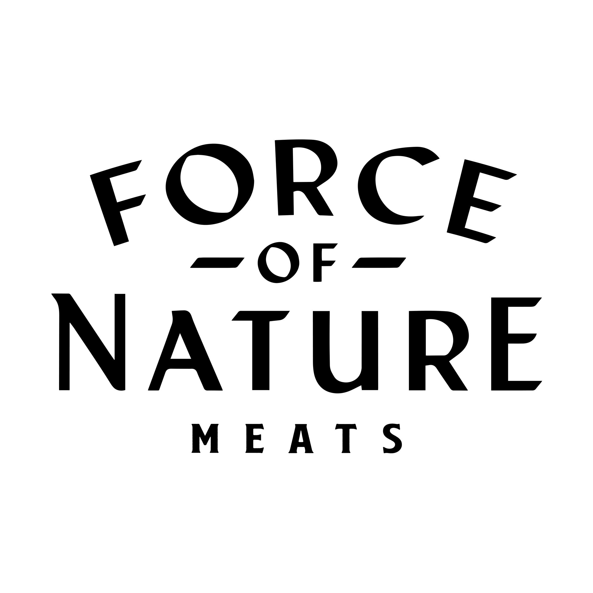 logo2 force of nature meats.png