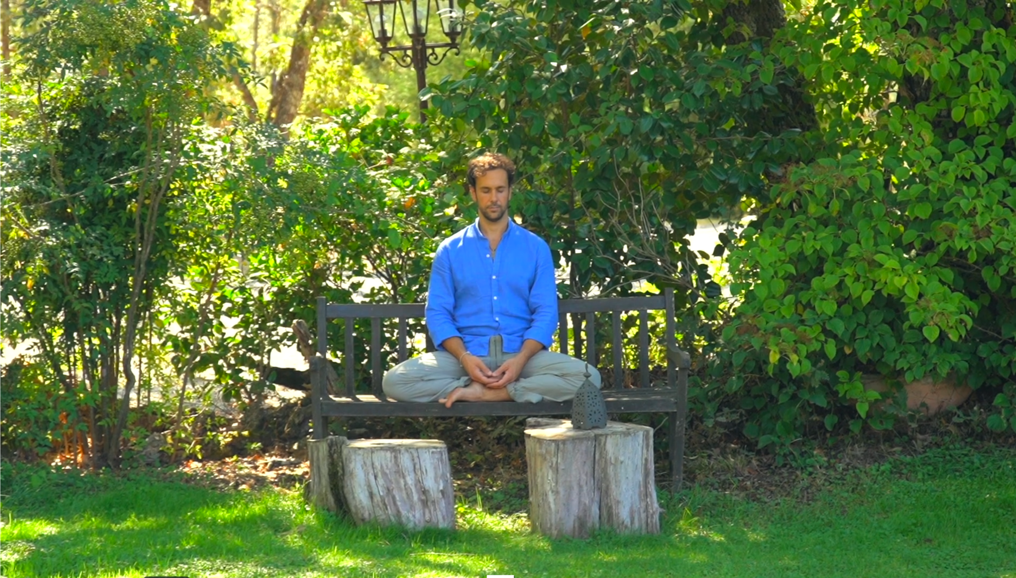 Cansado de Montañas Rusas 