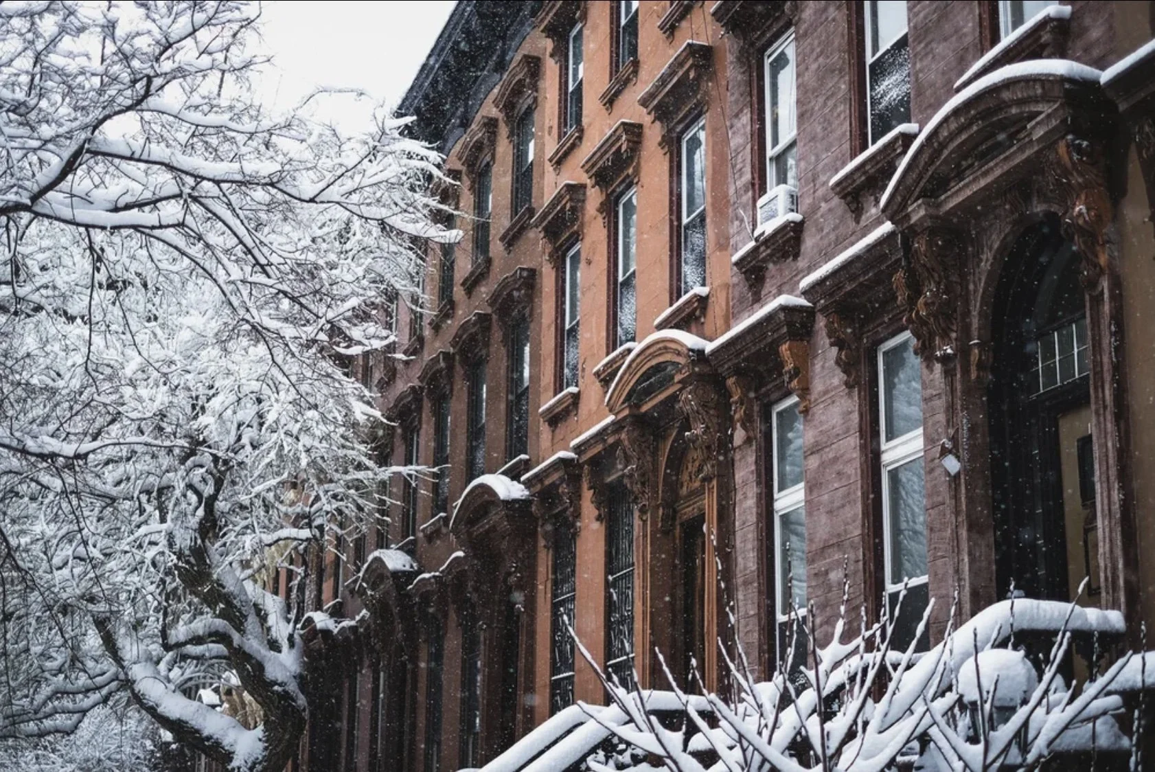 Big Dreams in a Tiny Apartment